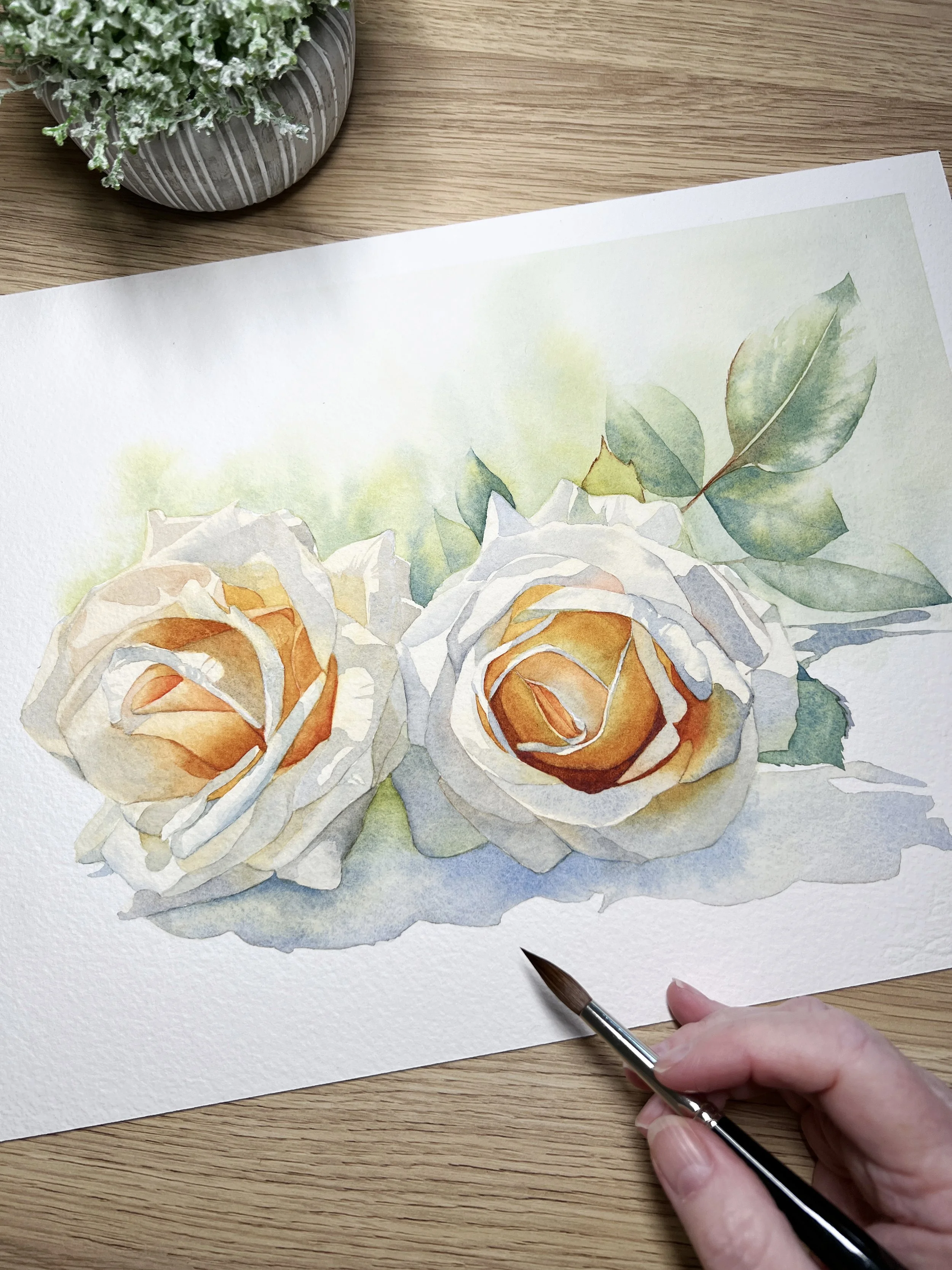 Watercolour painting of white roses with warm orange centres and green leaves.