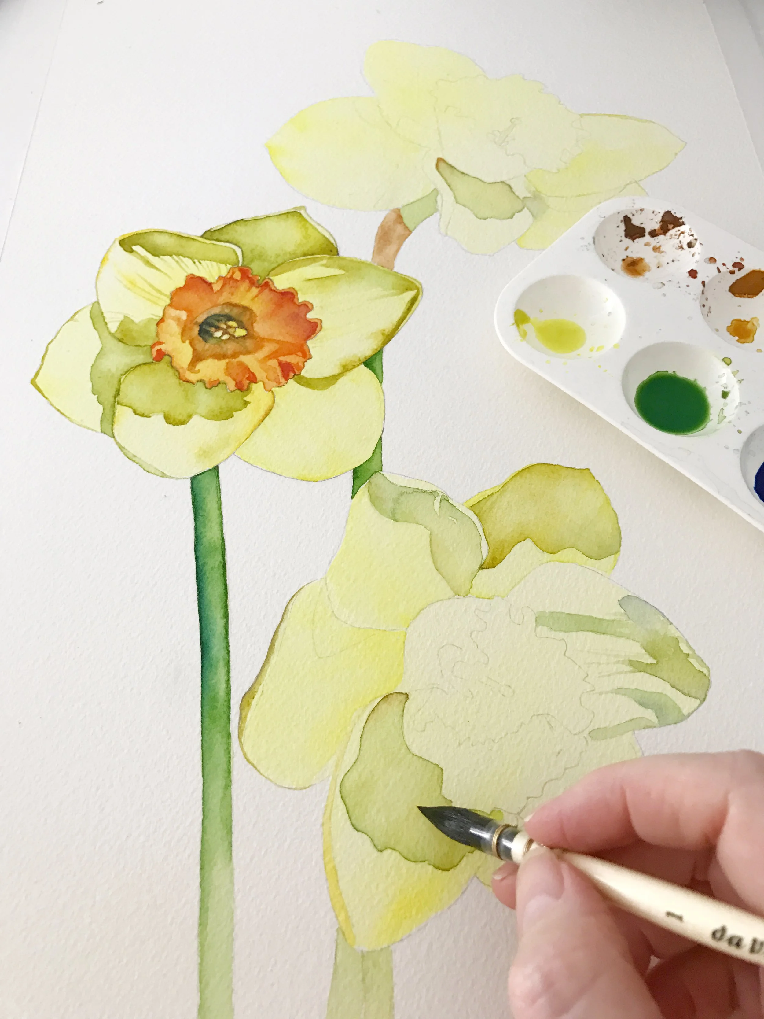 Painting a Daffodil