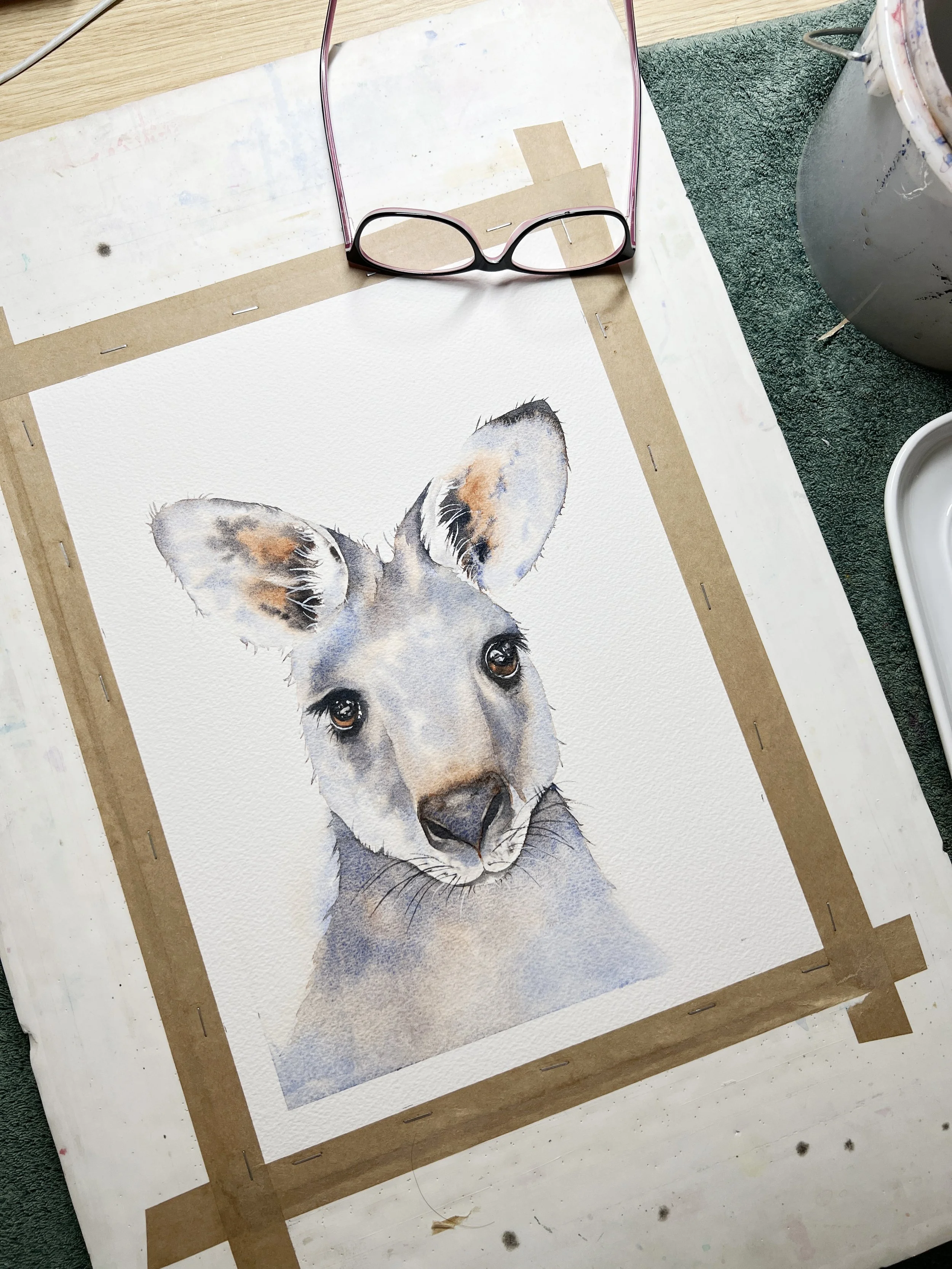A finished watercolour painting of a kangaroo with expressive eyes, taped to a board and glasses resting above.