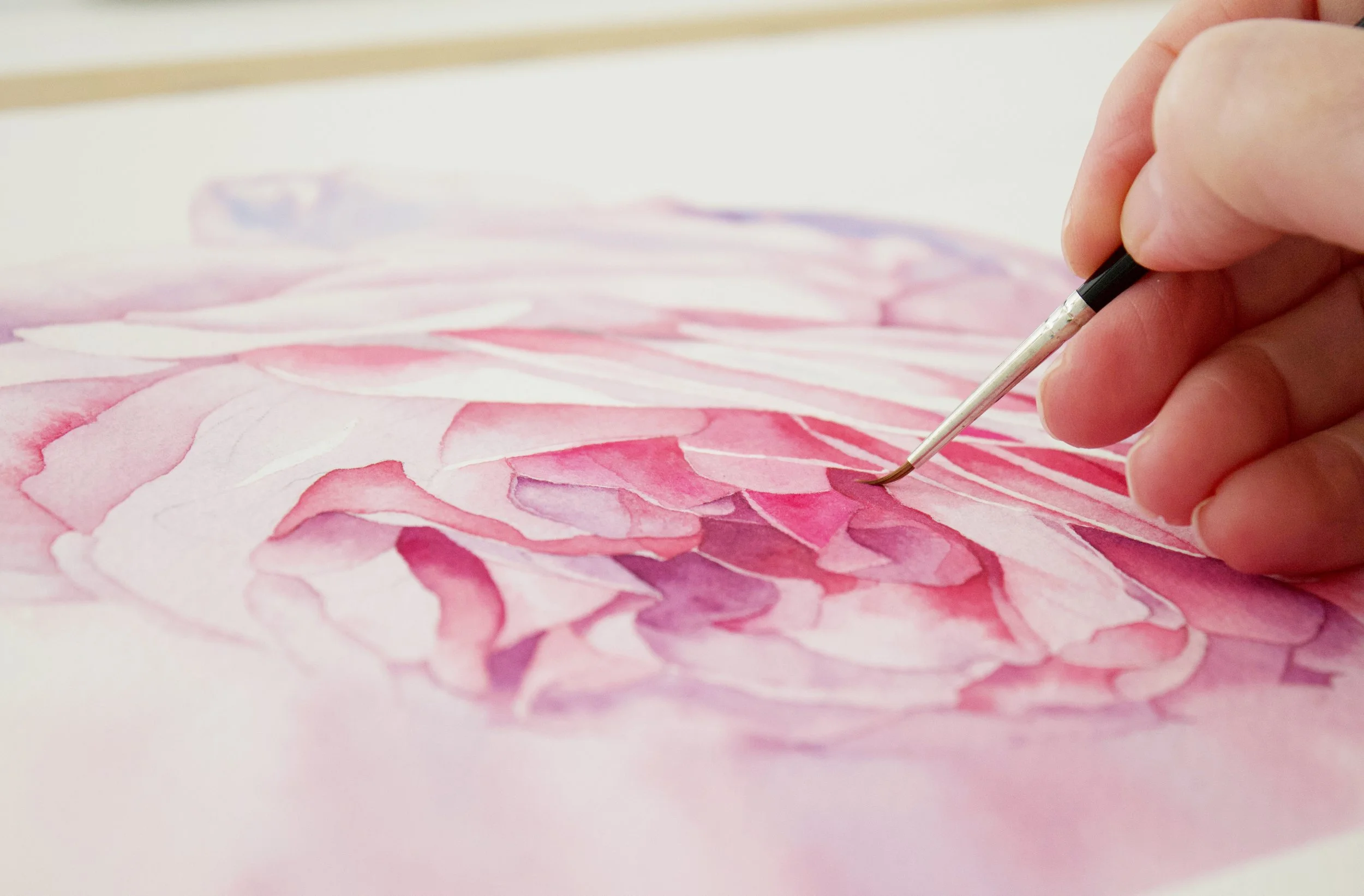 Close-up of an artist using a fine brush to paint petal details on a soft pink watercolour rose.