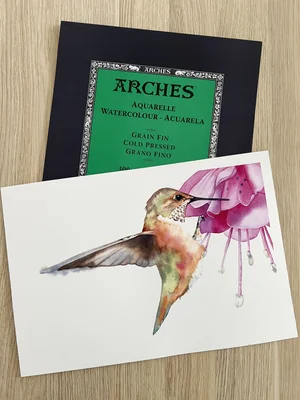 Watercolour Glossary Key Terms Every Artist Should Know Louise De