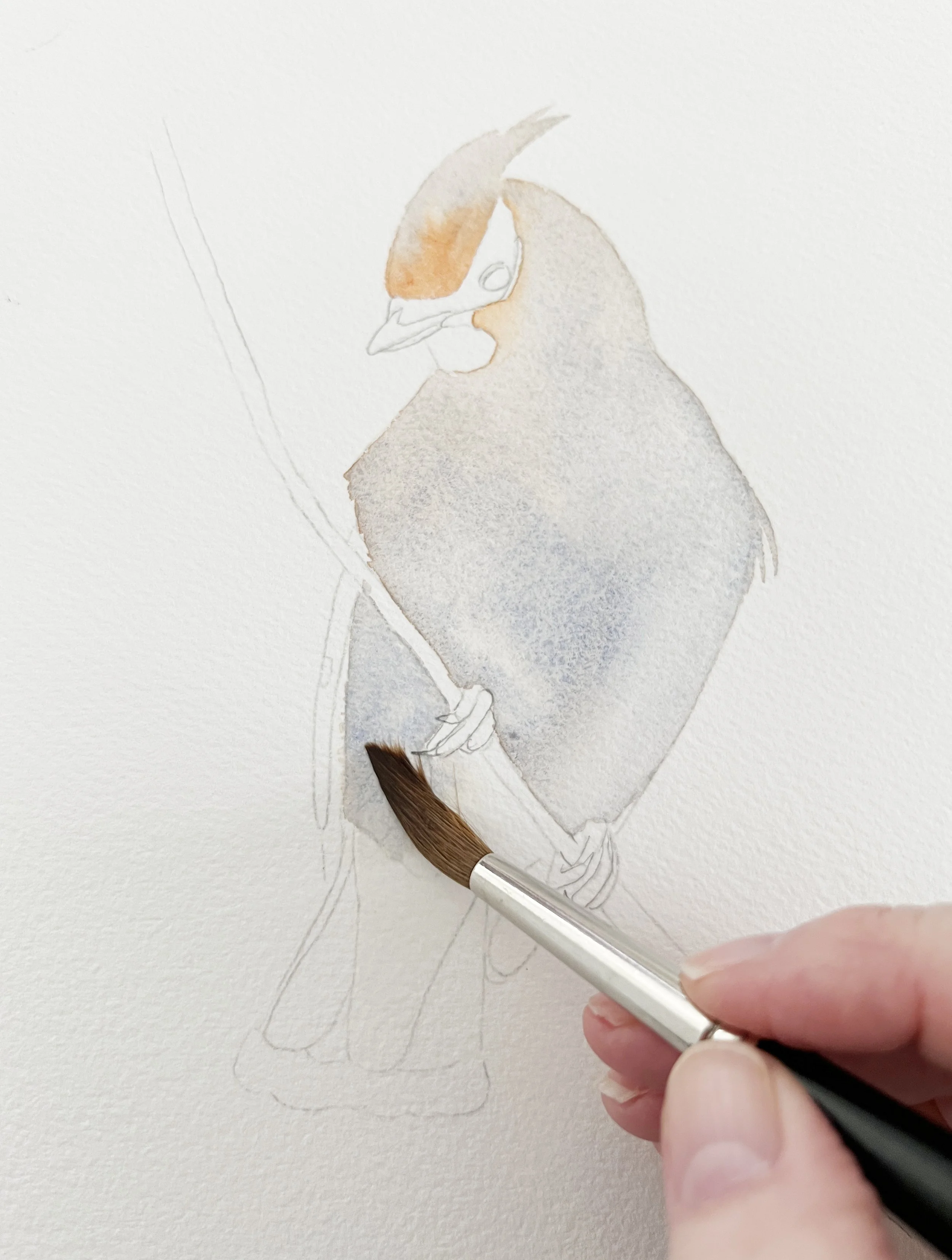 Hand painting a bird on watercolour paper with a round brush during the early wash stage.