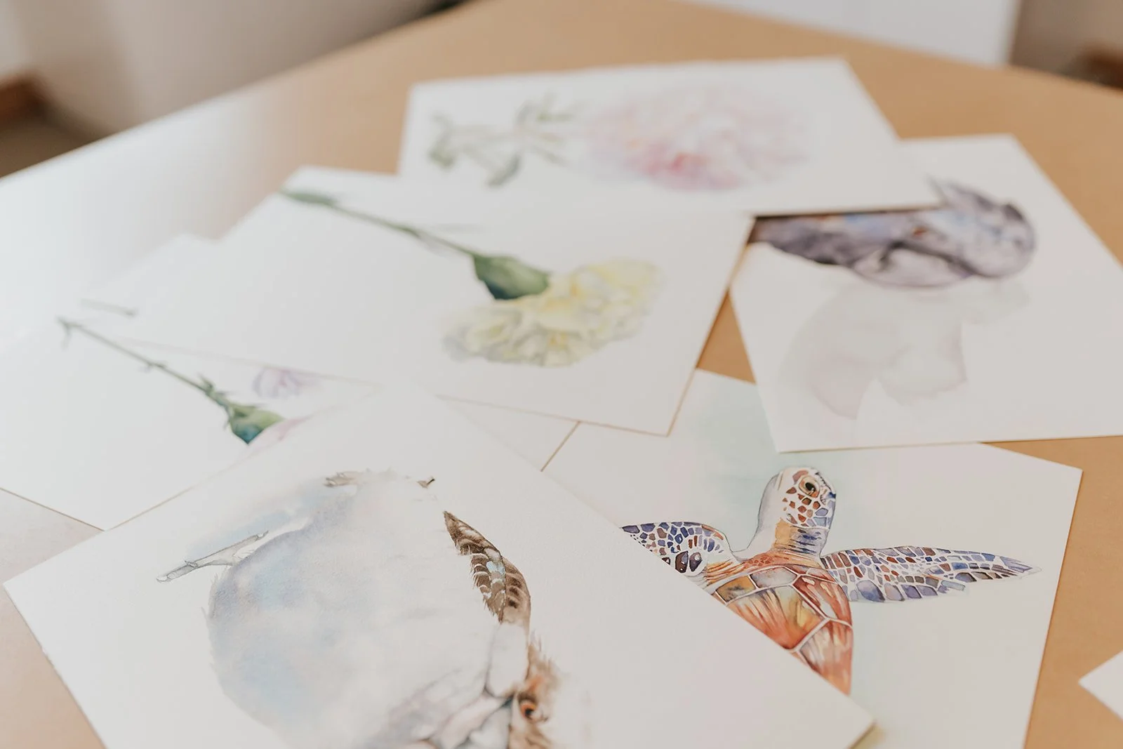A collection of watercolour paintings including florals, birds, and a sea turtle, laid out on a flat surface in a studio.