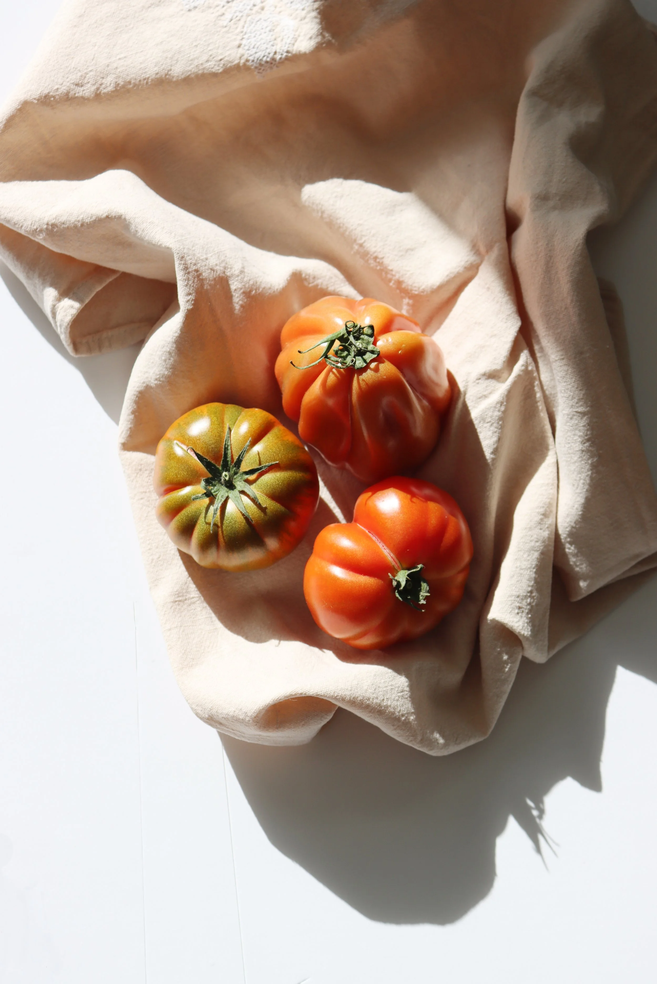 Three heirloom tomatoes arranged on cream fabric in strong sunlight, creating deep shadows, bright highlights and contrasting tonal values.