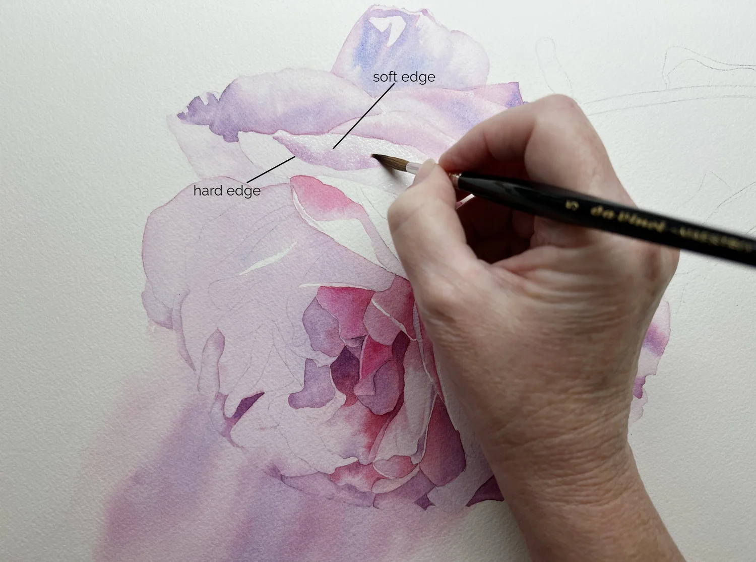How to Paint Hard and Soft Edges in Watercolour — Louise De Masi