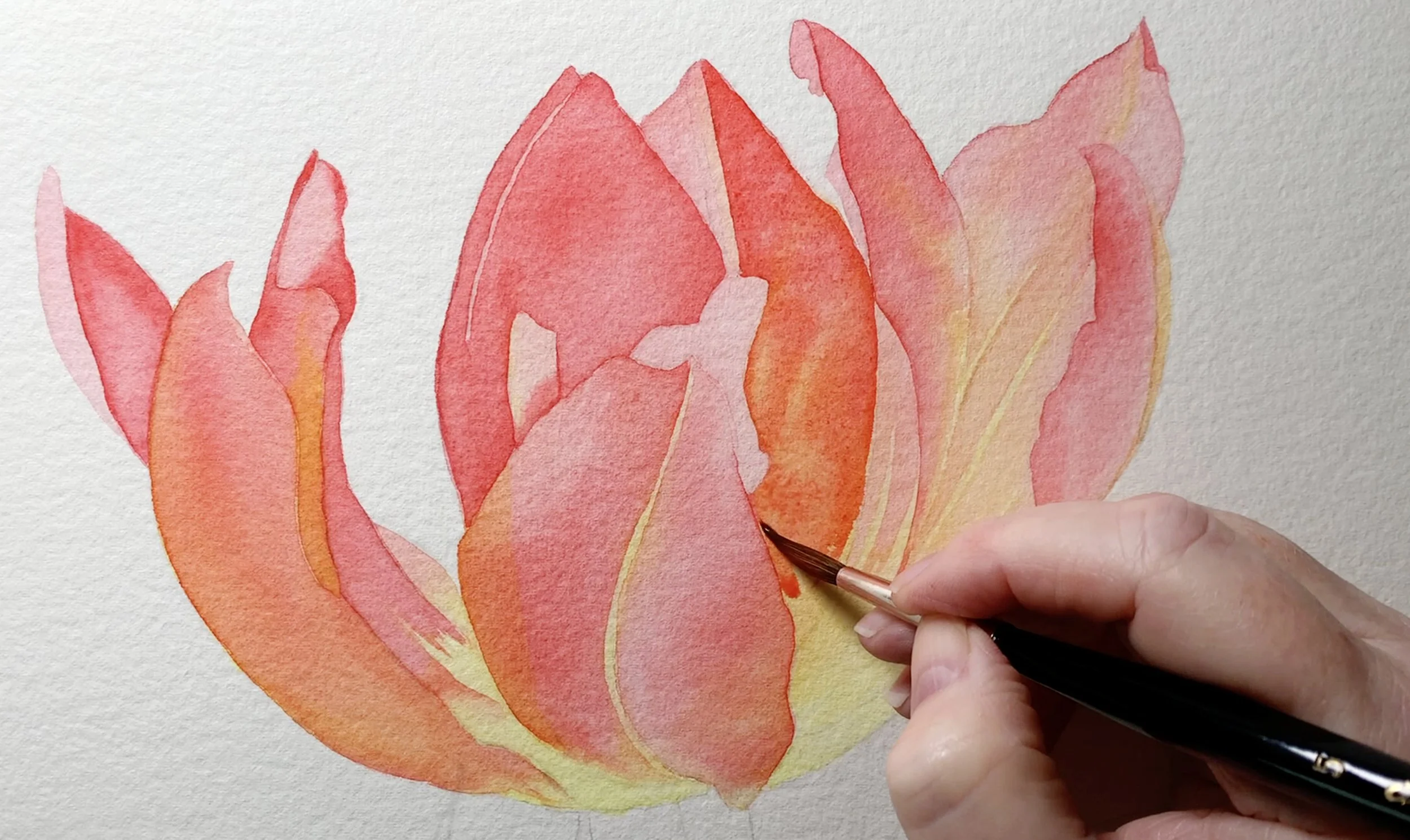 How to do the Watercolour Glazing Technique — Louise De Masi