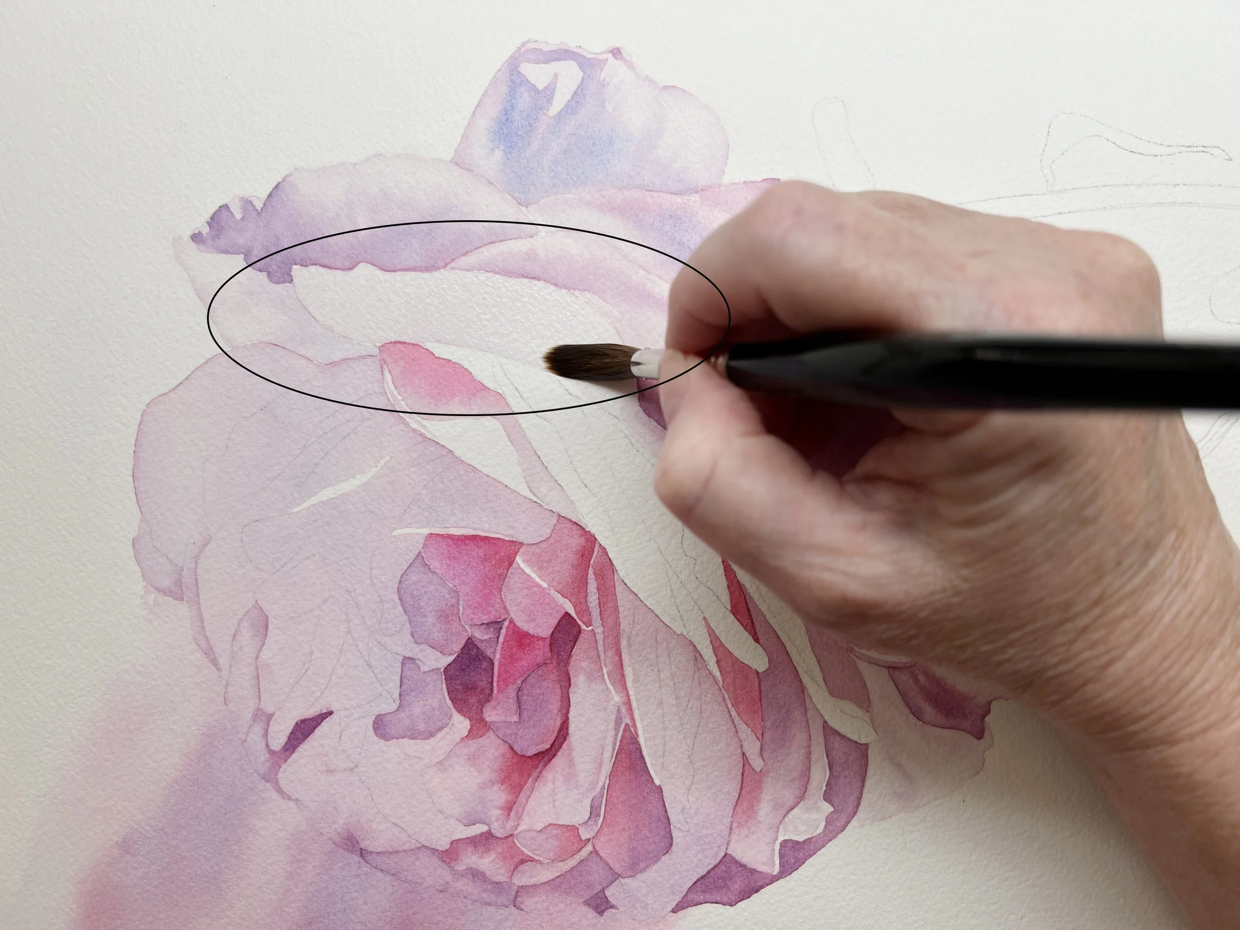 How to Paint Hard and Soft Edges in Watercolour — Louise De Masi