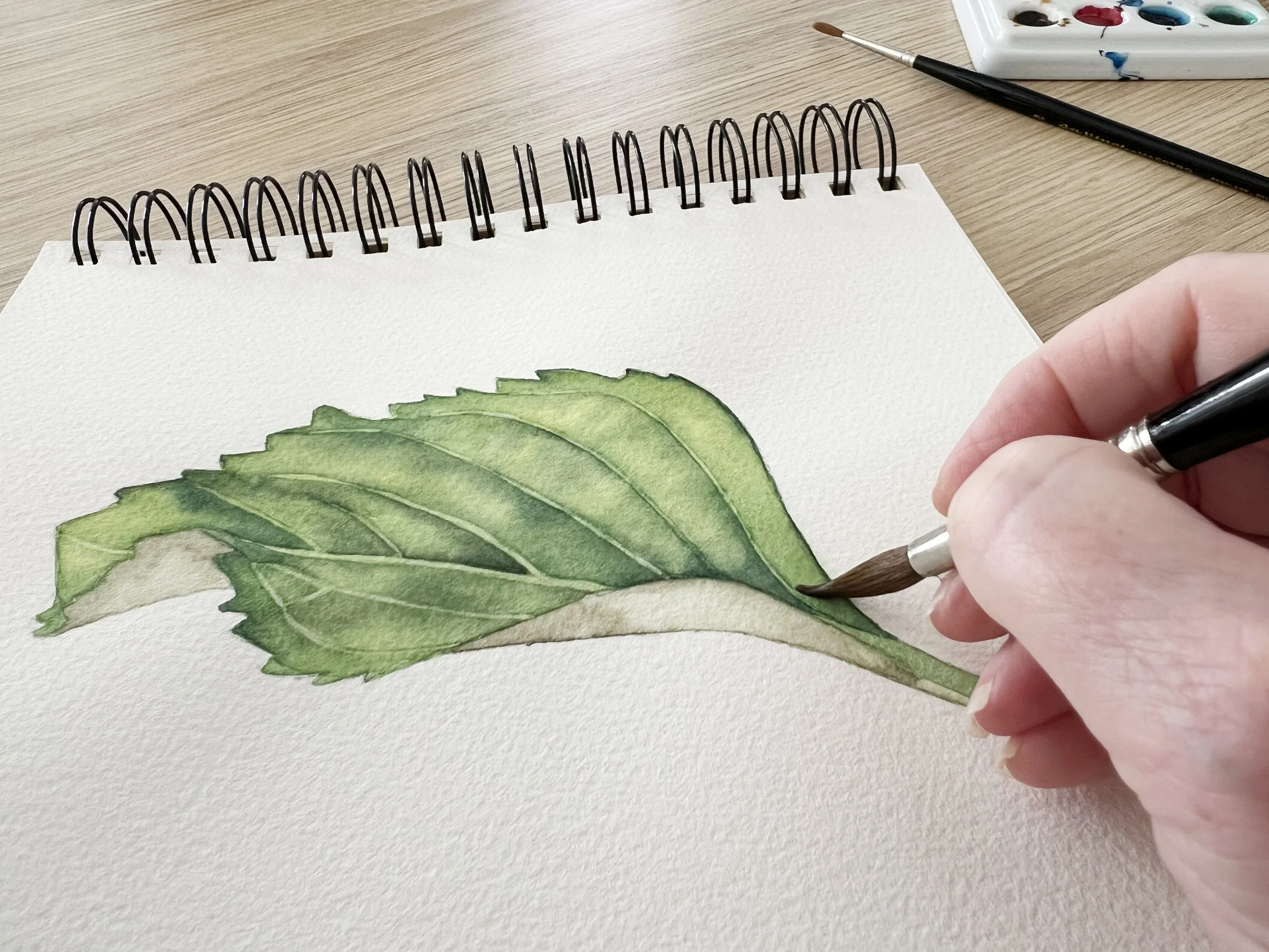 Beginner friendly watercolour painting class with leaf study