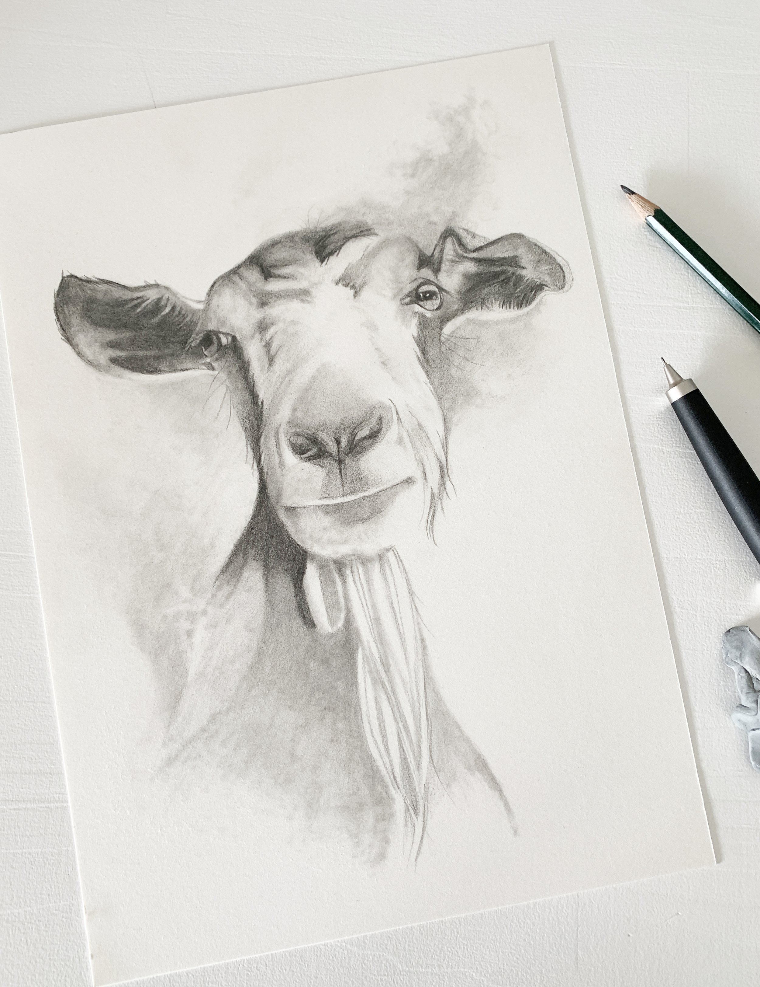 A realistic graphite drawing of a goat’s face on white paper, with sketching pencils beside it.