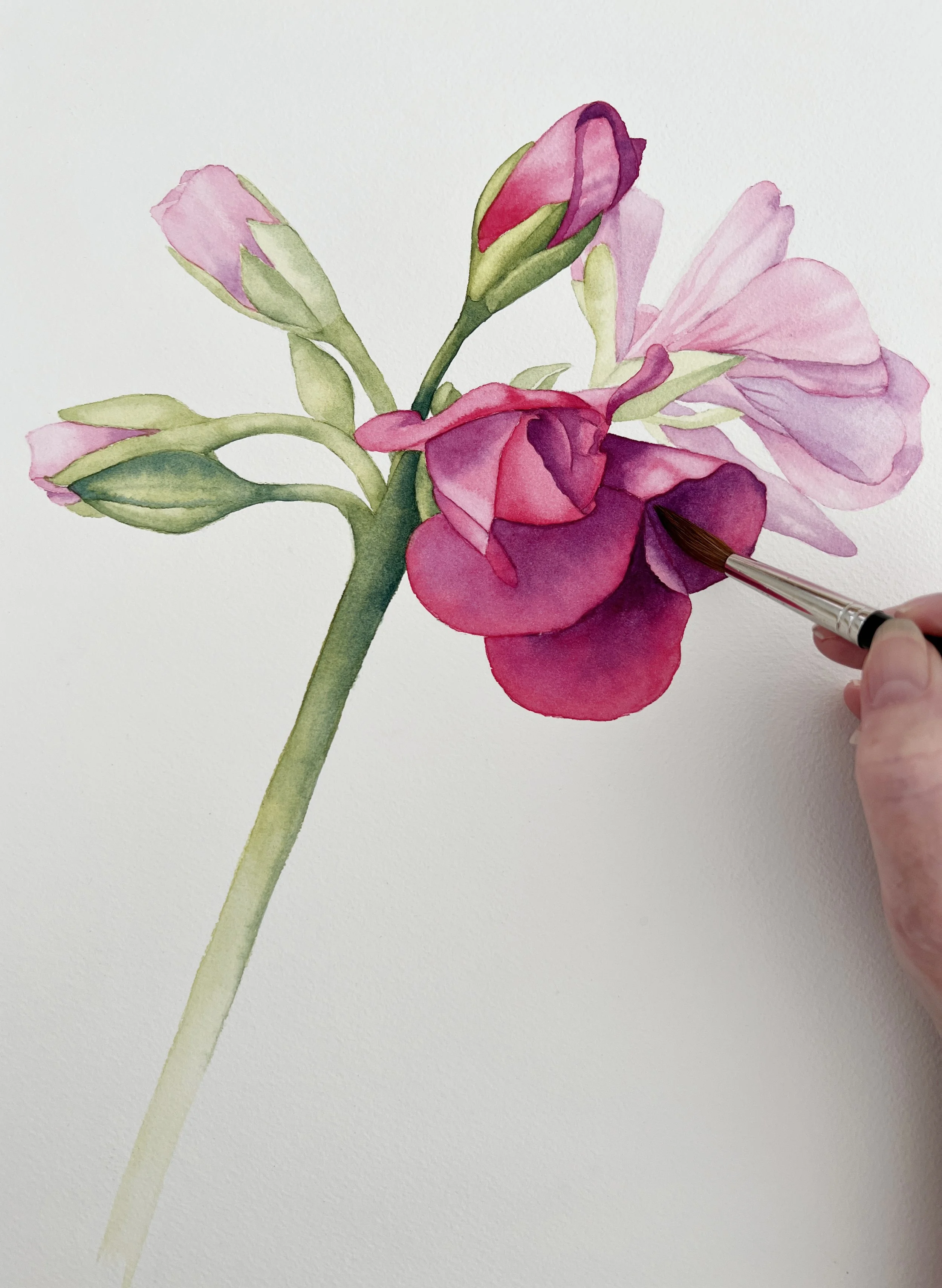 ButterStix® Aquarelle Wet & Dry main image 0