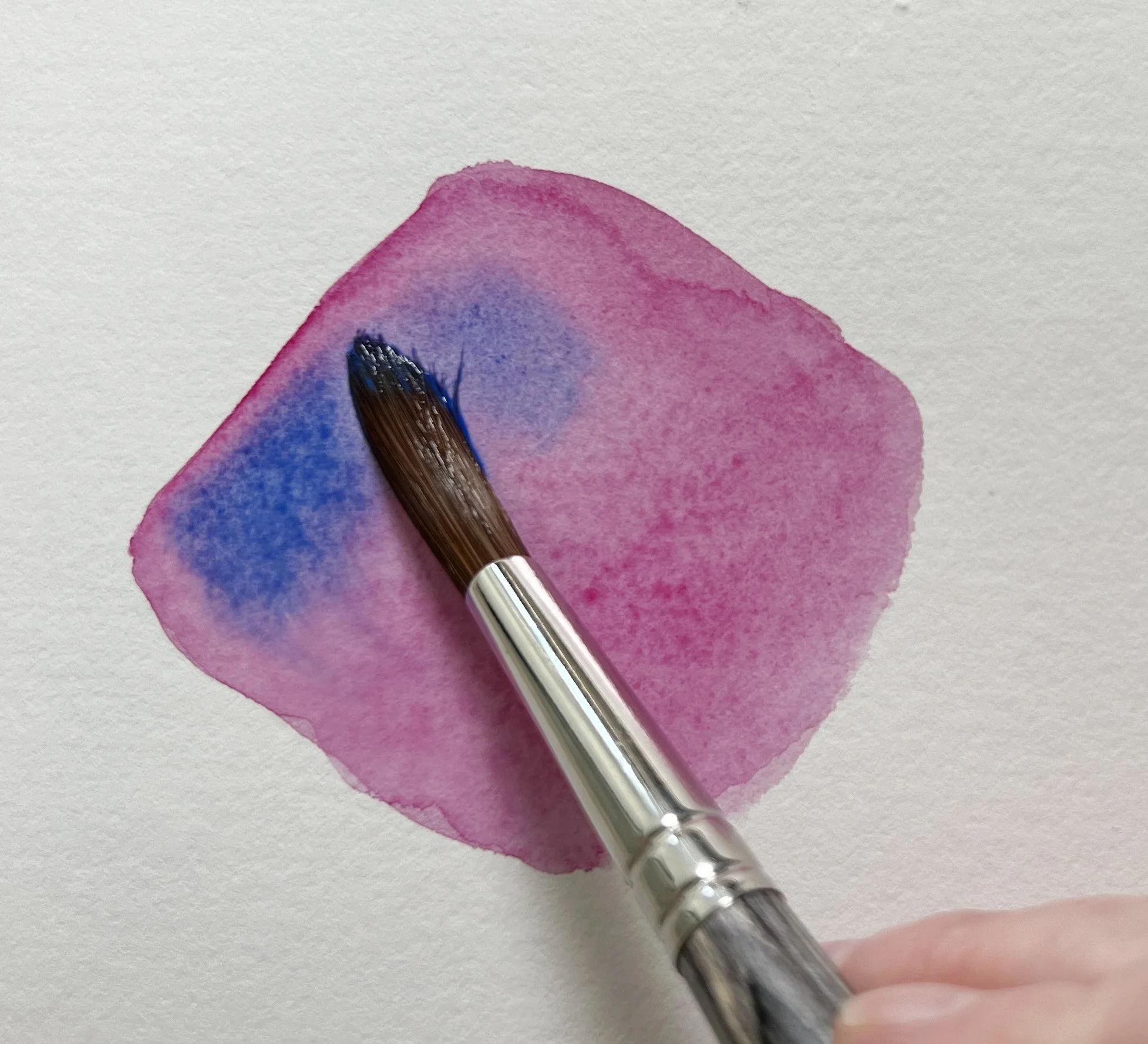 How to Blend Watercolour Paint — Louise De Masi Watercolour Artist
