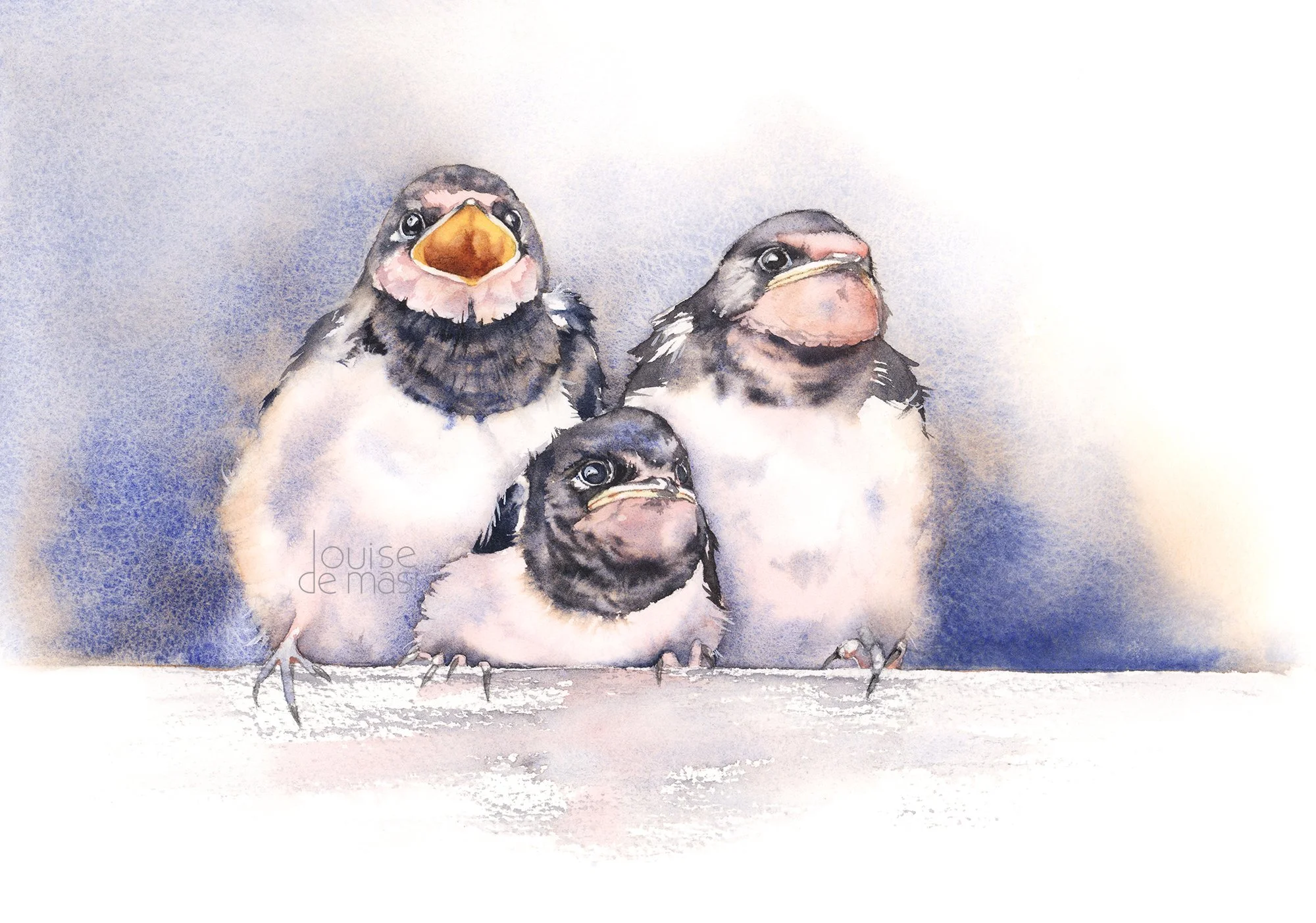 Watercolour painting of three fluffy baby swallows with expressive faces, perched together against a soft blue background. One has its mouth wide open in anticipation.