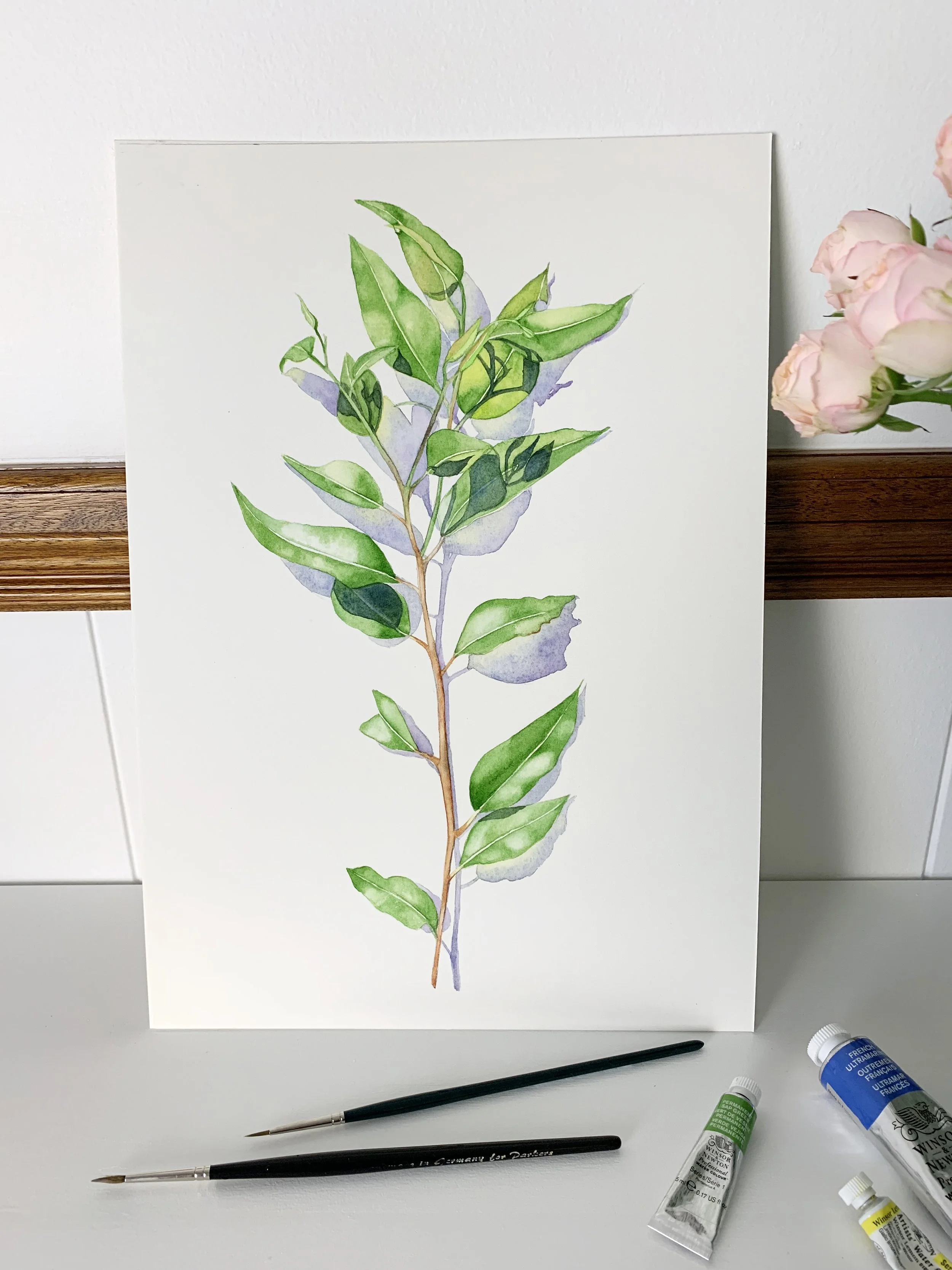 Botanical watercolour painting of a leafy green branch with transparent washes, varying green tonal values and soft blue-violet cast shadows.