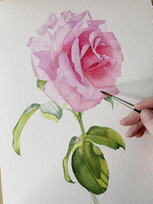 Top Tips for Using Masking Fluid — Louise De Masi Watercolour Artist
