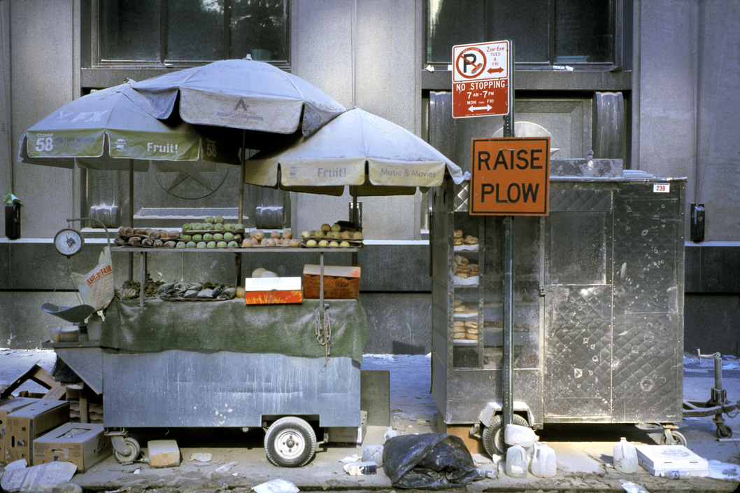 Alex Webb