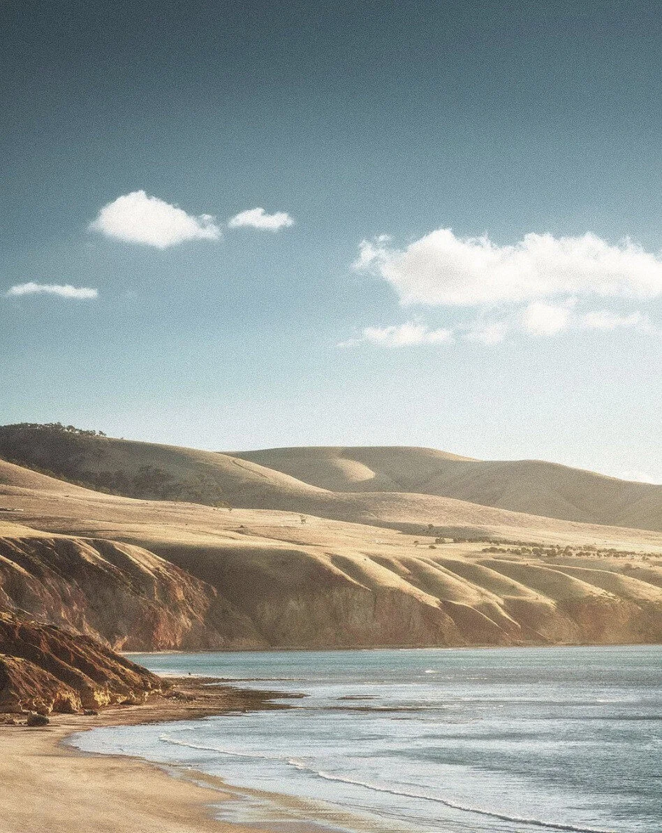 Screen Shot 2021-05-11 at 6.32.04 pm.jpg