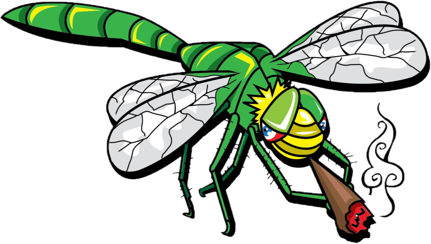 JB Dragonfly Transparent.png