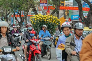 Sunflower Blunt Wraps 3 Vietnam streets