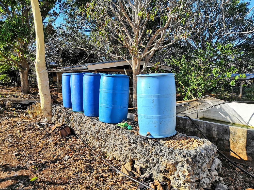 Our Latest Farming Project 6 Water Barrels