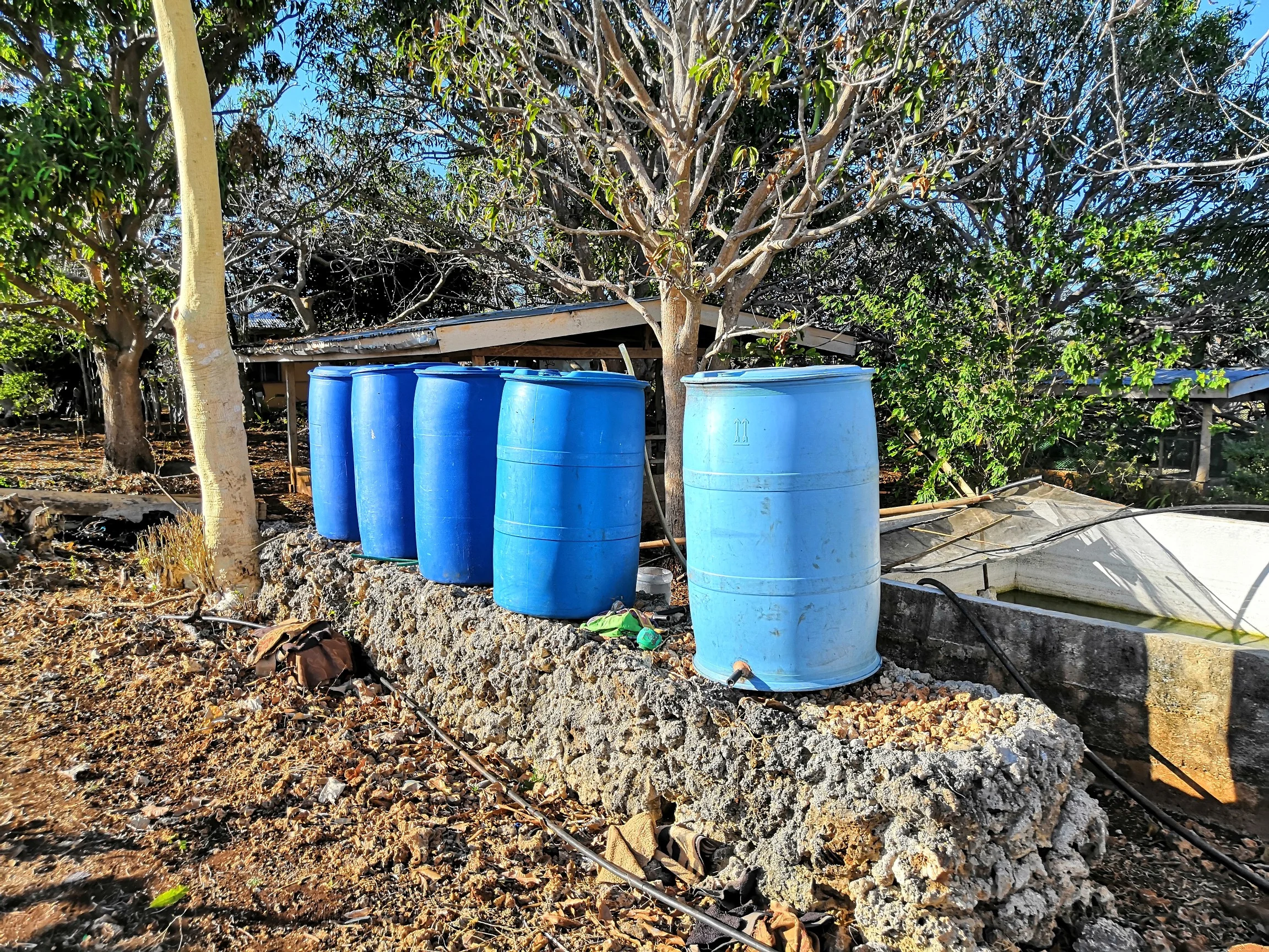 Water Barrels