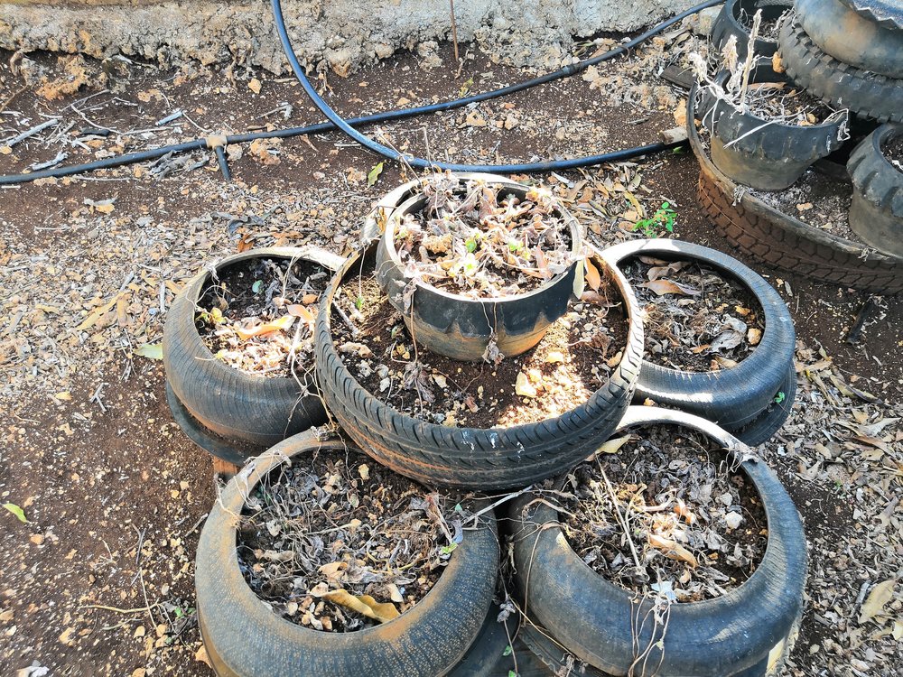 Our Latest Farming Project 13 Dead Herbs