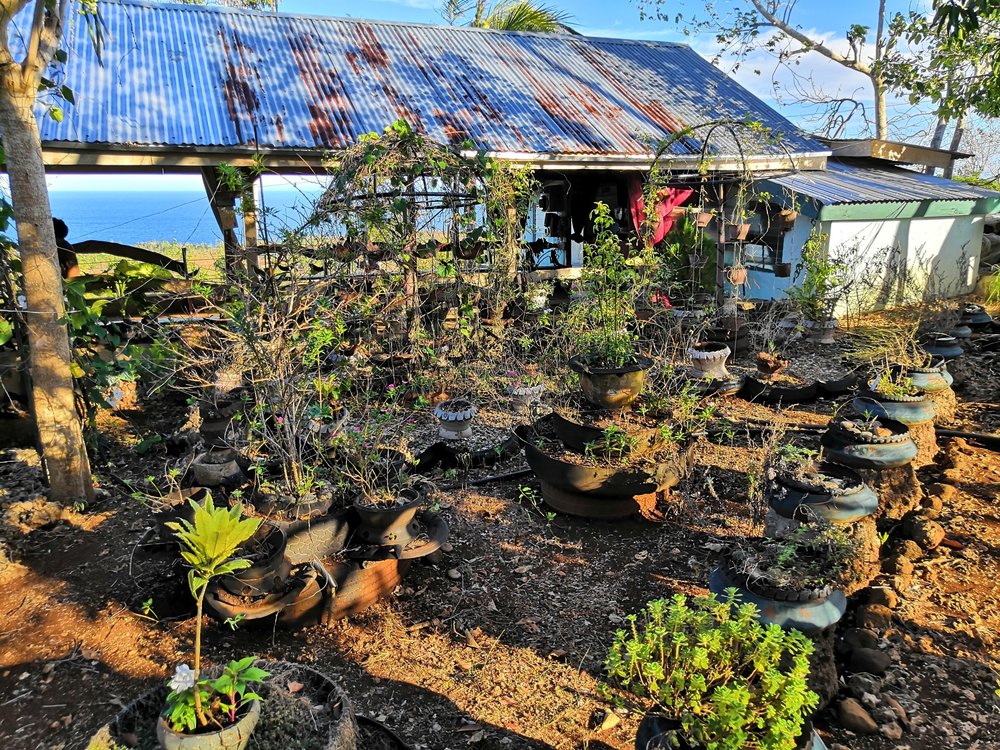 Our Latest Farming Project 16 IMG_20190331_162904 - Copy.jpg