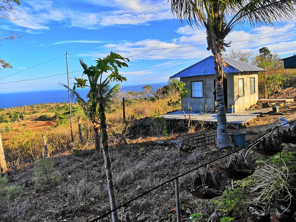 Our Latest Farming Project 21 My House Overlooking
