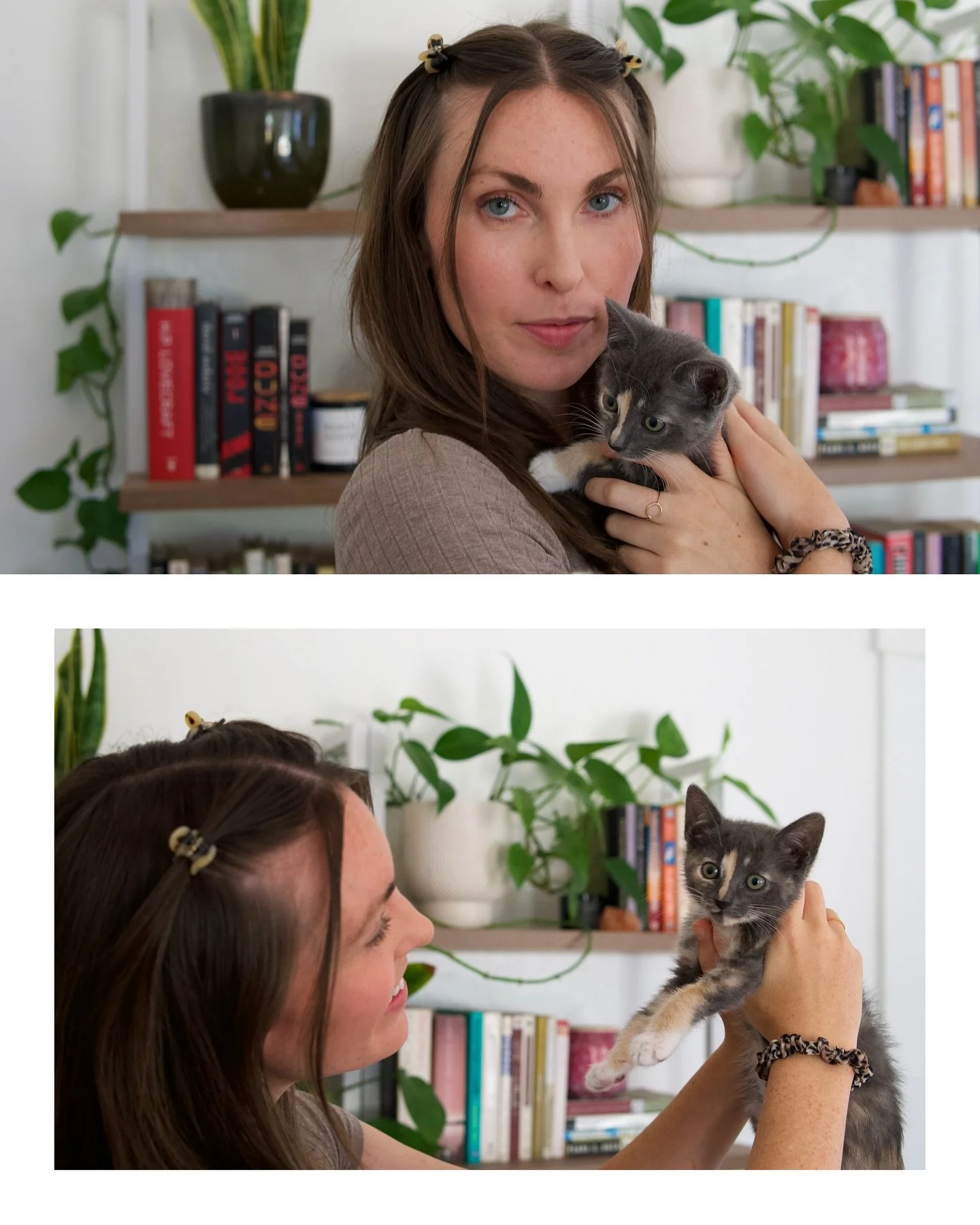 Meet Juneau! ♡ Adopted from my favorite place @sbhumane and she's perfect🐾