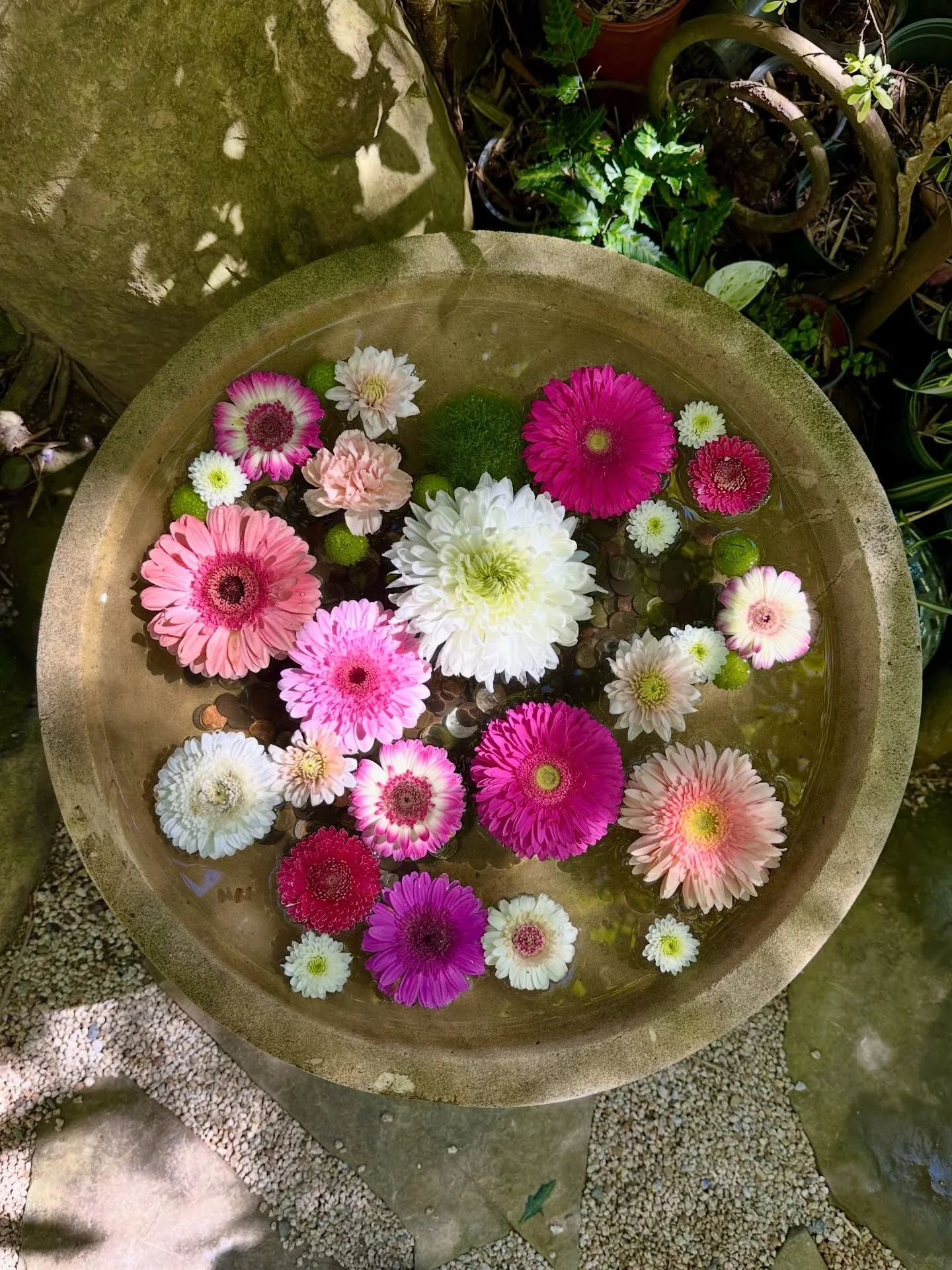 Slow weekend with my favorite person 🌸🌿🧘&zwj;♀️