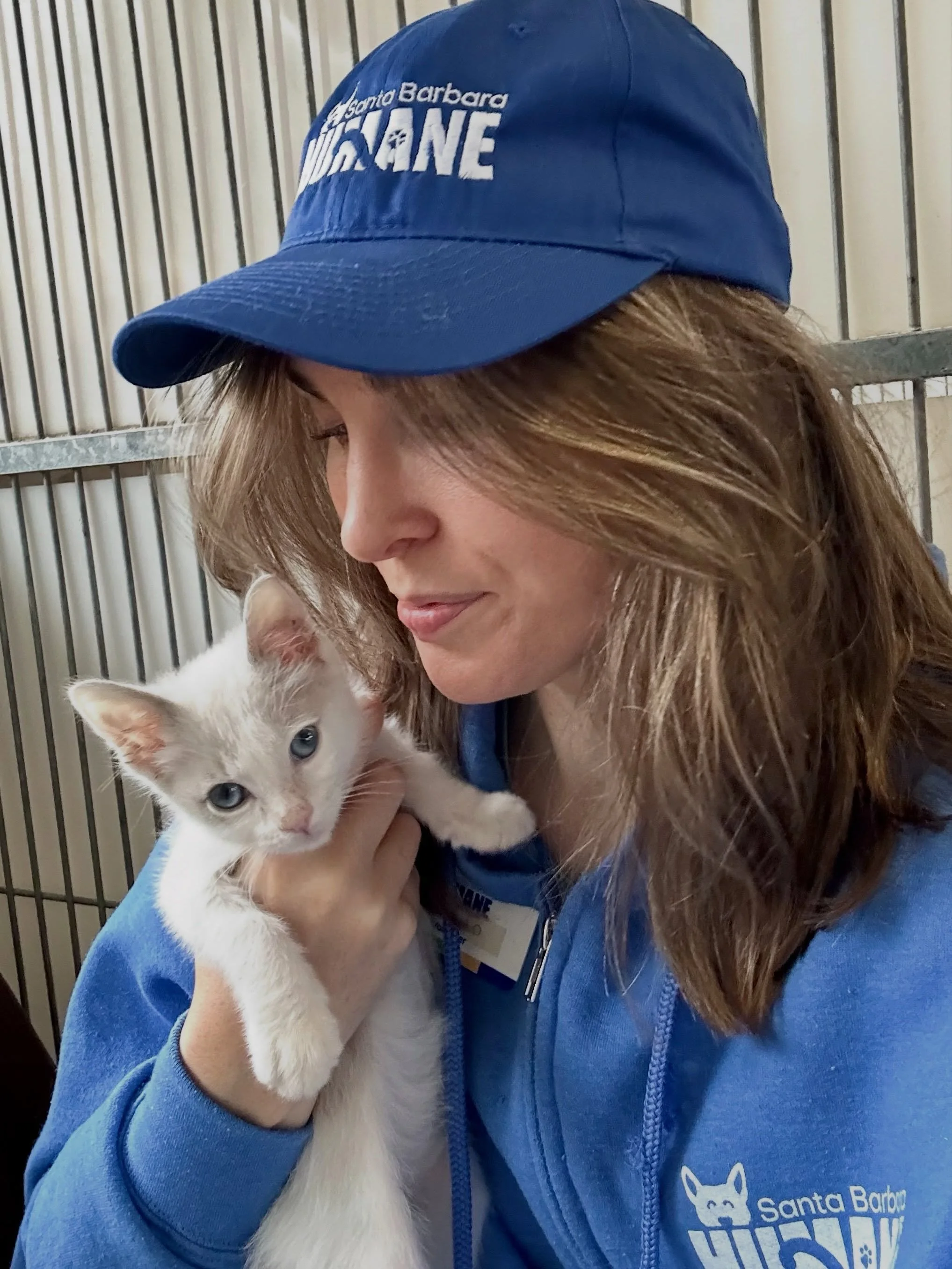 If anyone needs me, I'll be here 💙😽