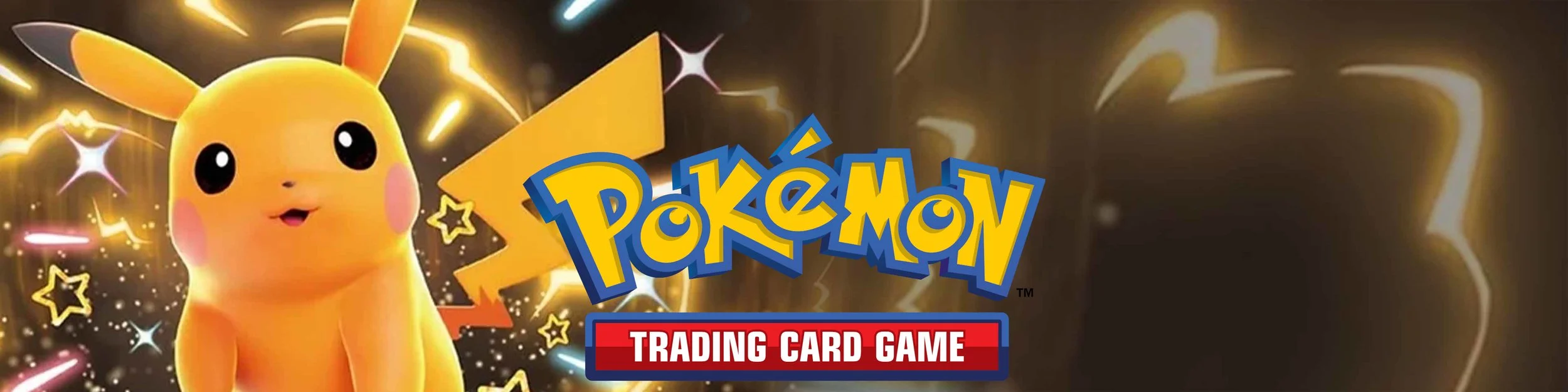 Pokemon banner.jpg