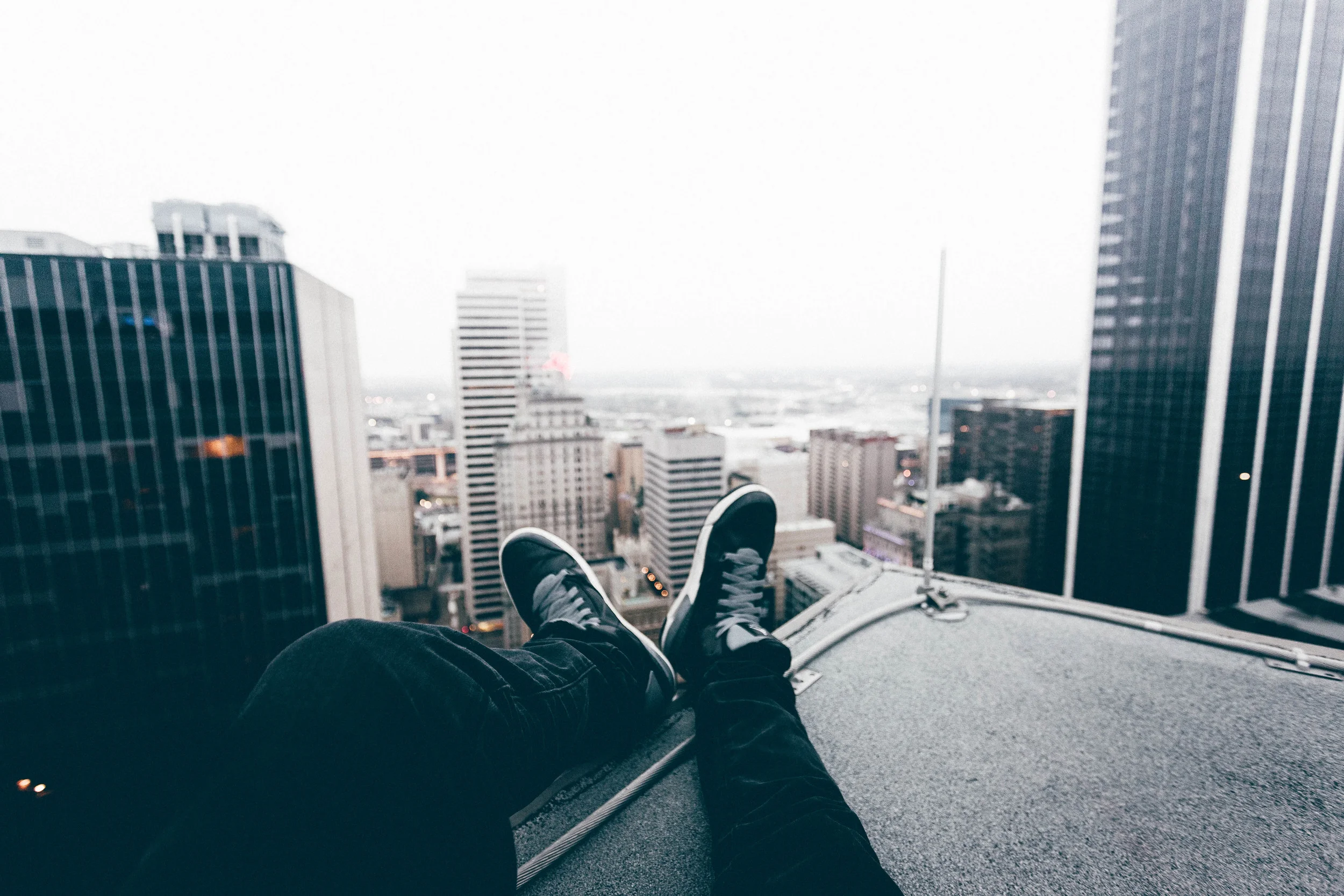 DallasJays (1 of 1).jpg