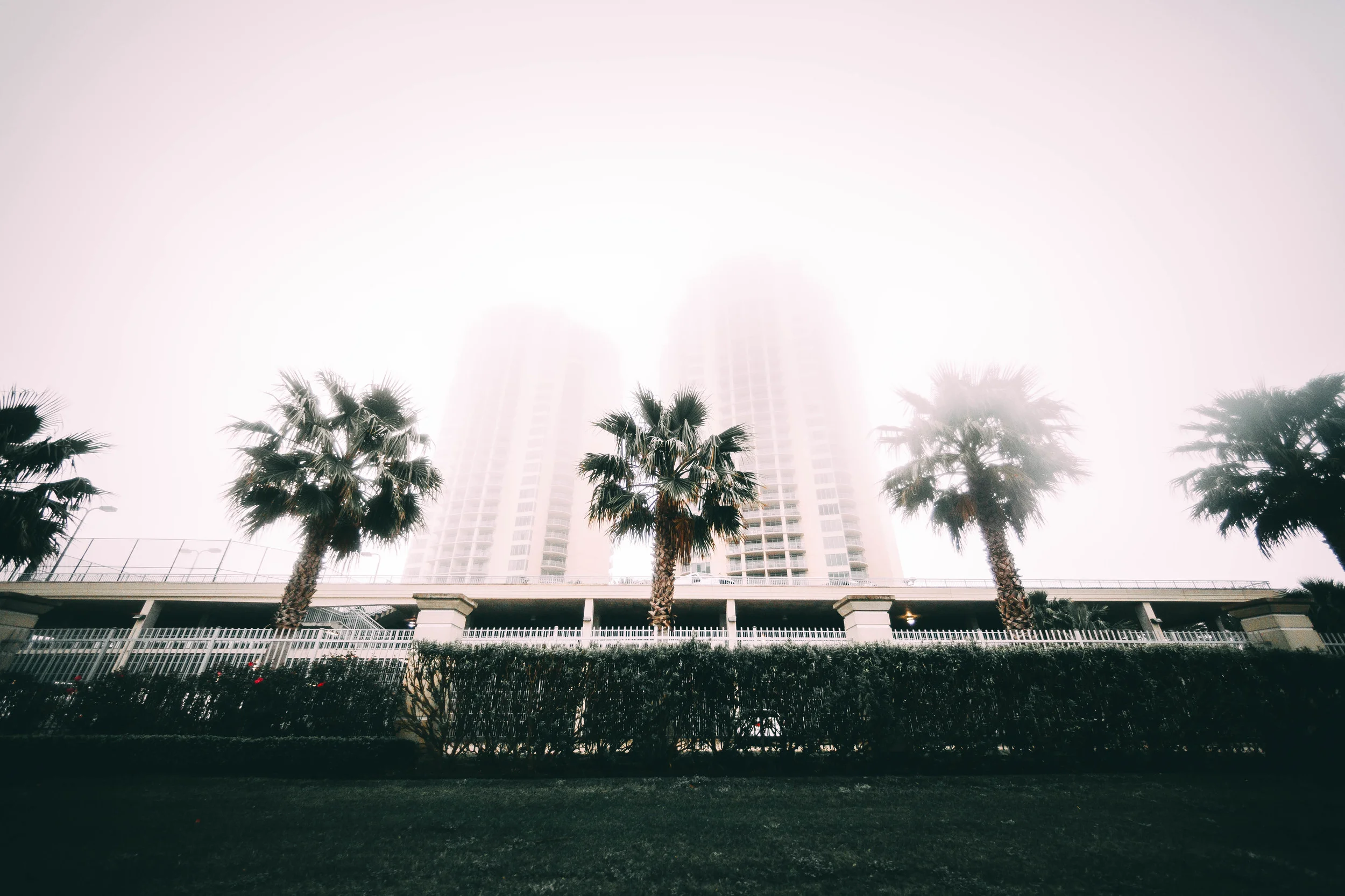 Galveston6 (1 of 1).jpg