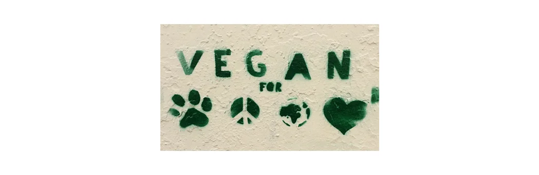 eline_veganforeverything.jpg