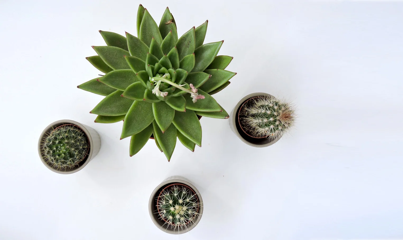 ethical-home-lifestyle-dyi-home-decor-upcycle-3.jpeg