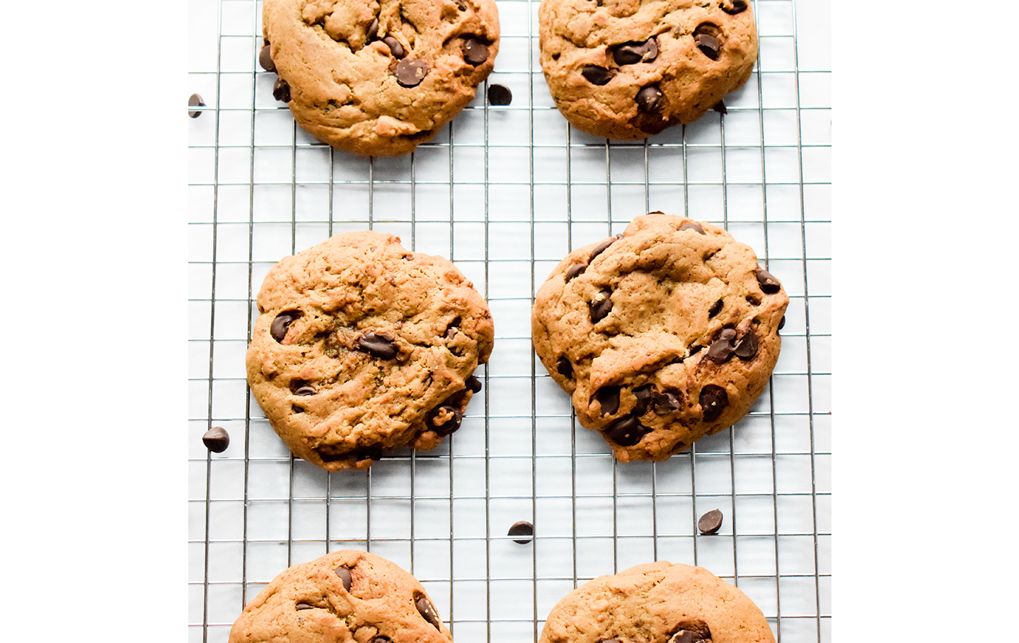 vegan-cookie-choc-chip-recipe-uncaptive.jpg