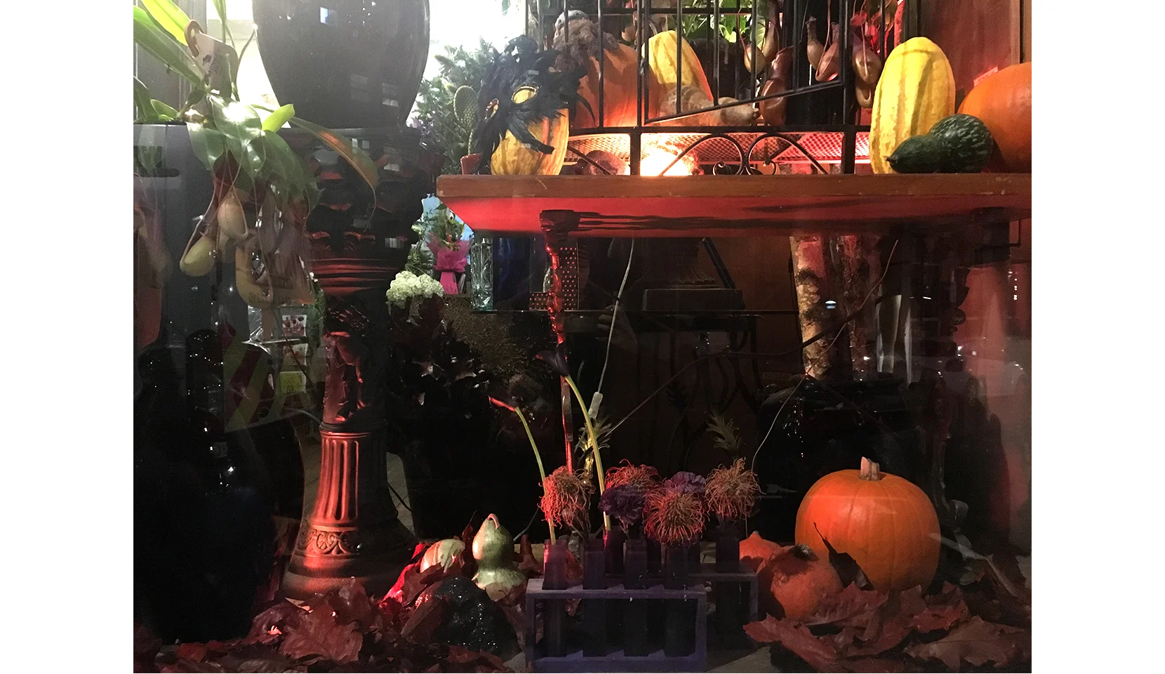 Minimal and Eco-Friendly Halloween Decorations-3.jpg