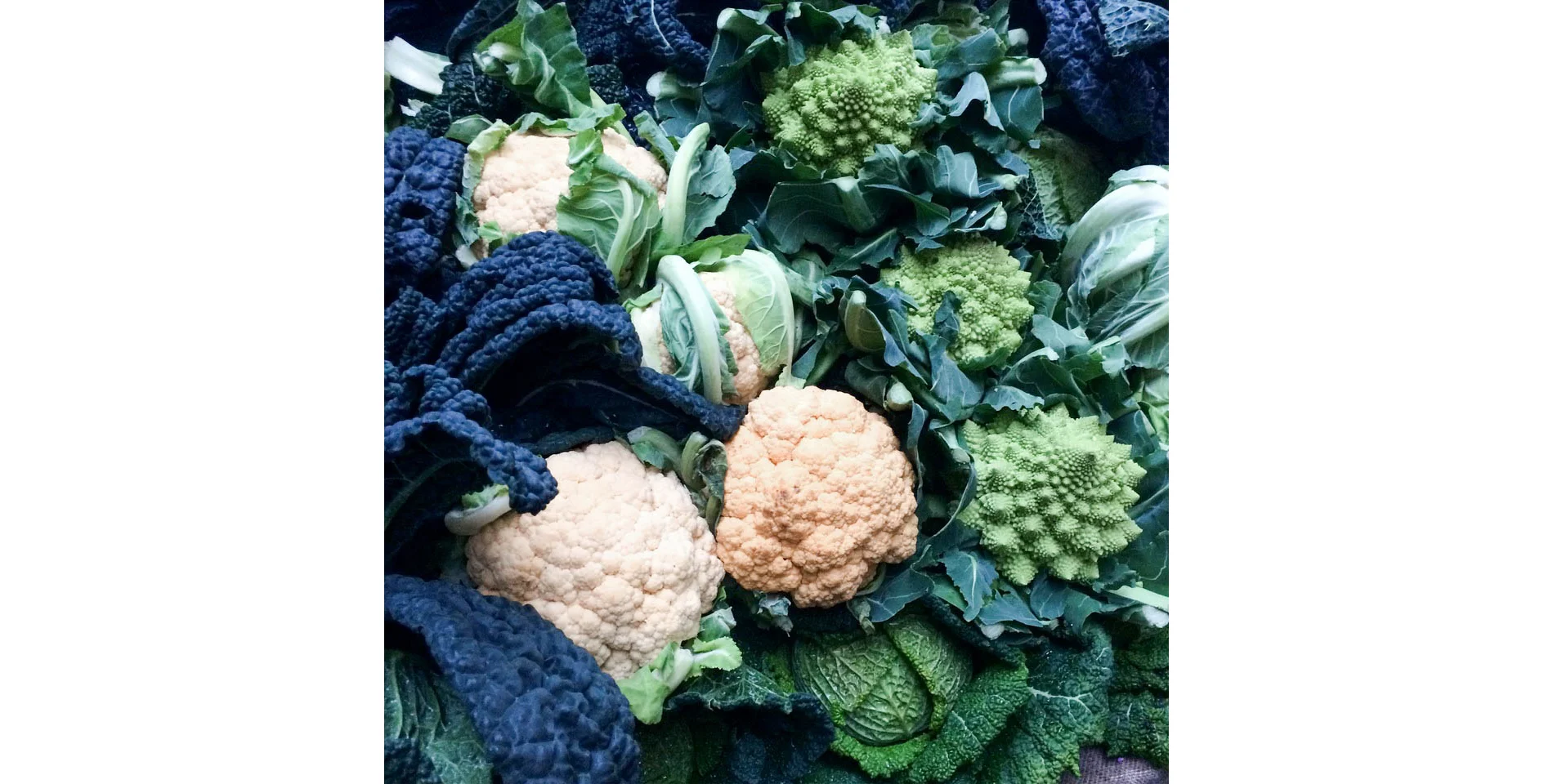Immunity-Boosting Foods-for-Flu-Season-vegan-ethical-clothing-uncaptive.jpg