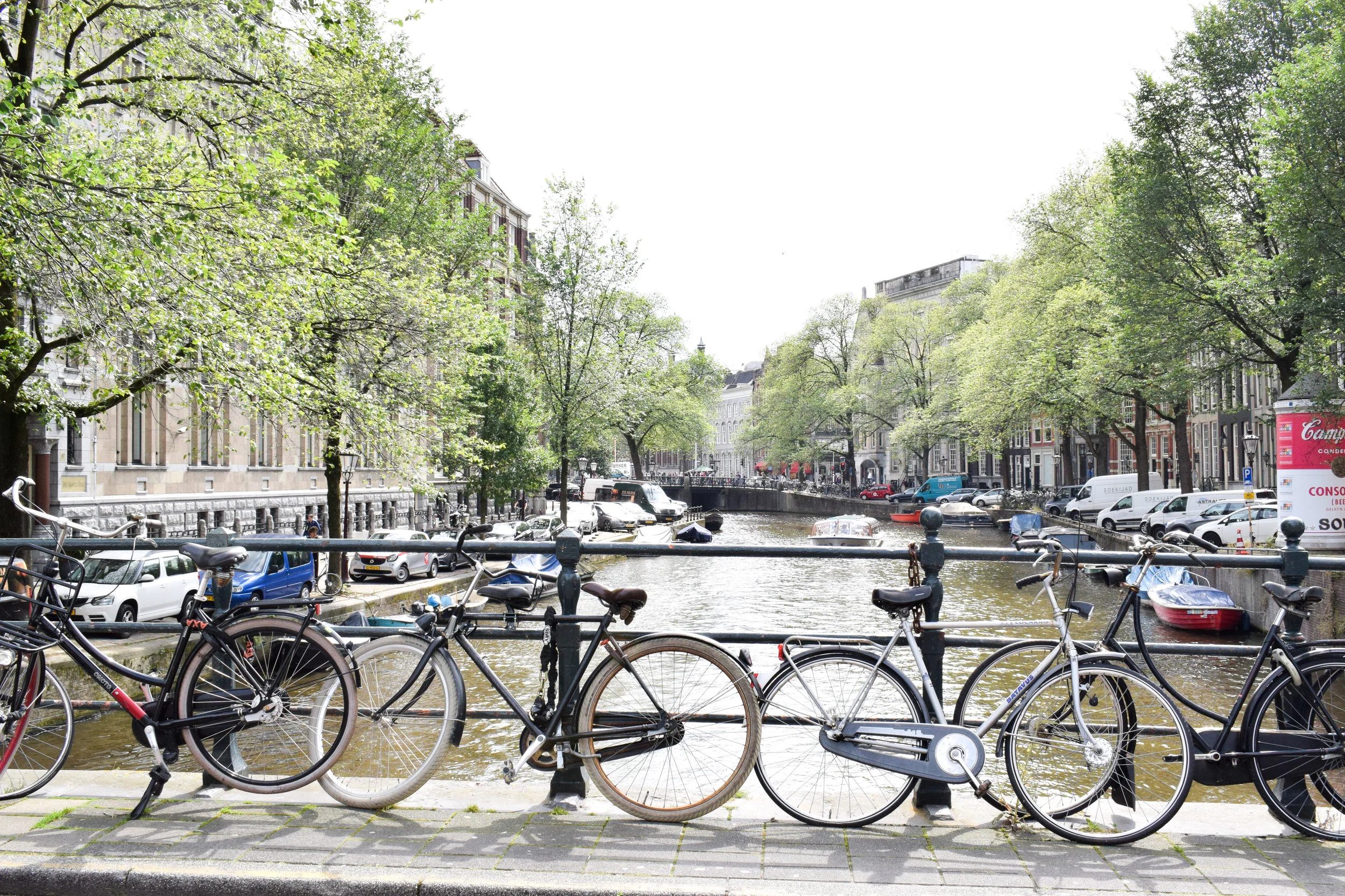 Travel lover? Organise a trip for them and rely on different means of public transport to minimise your carbon footprint.