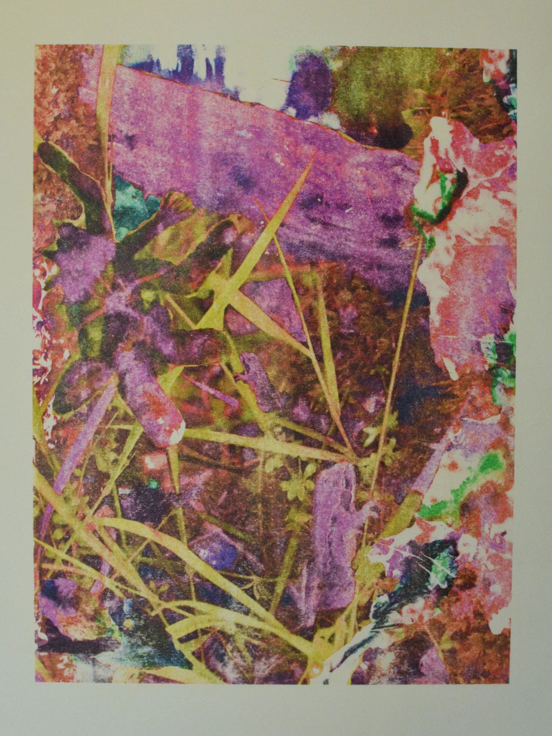 The Tale of the Lillie Makers