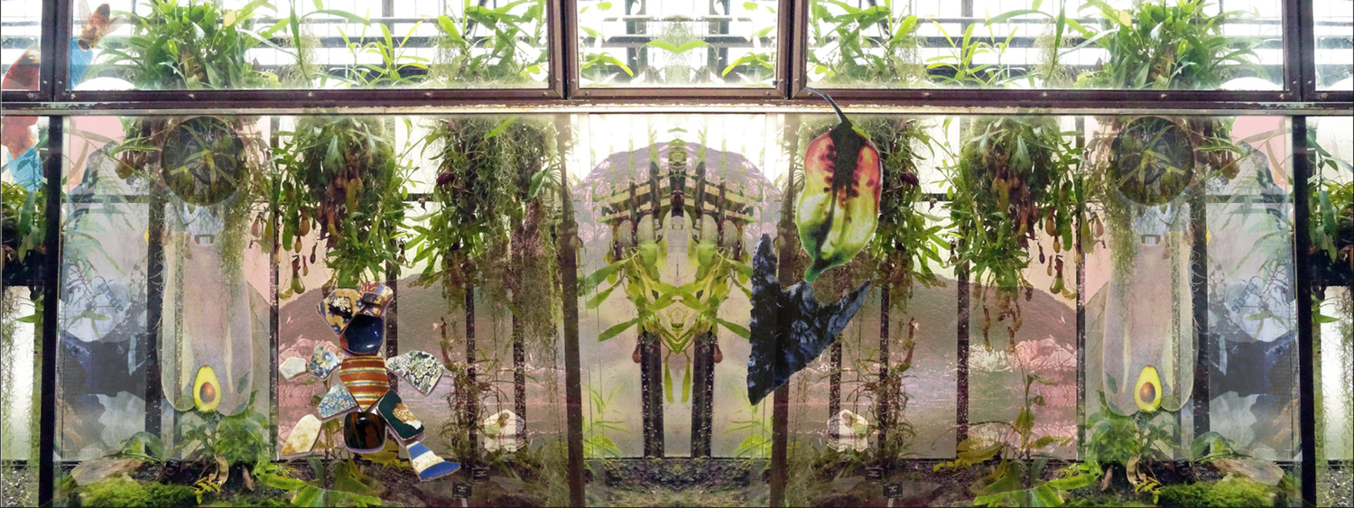 Greenhouse Effects