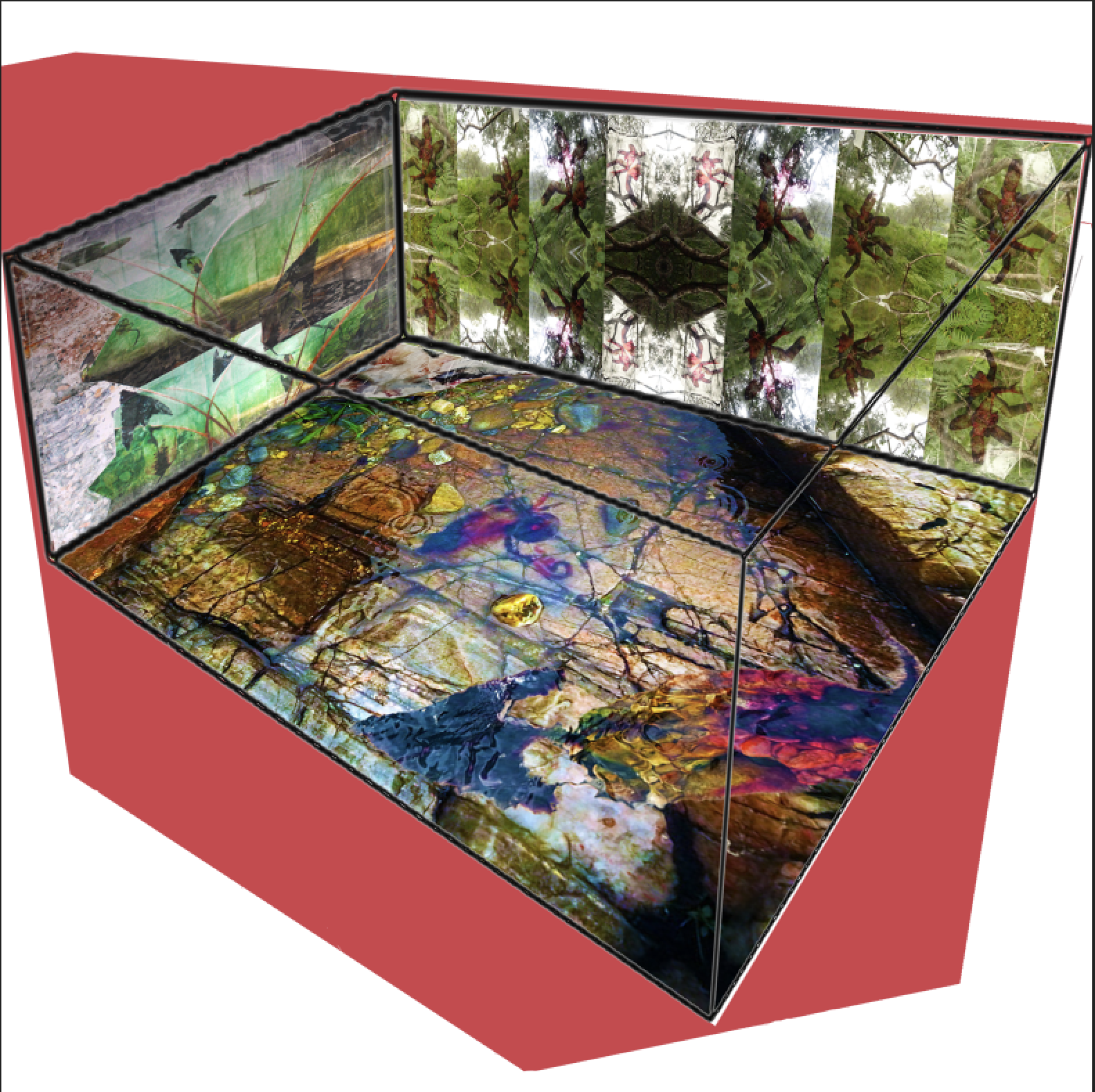Immersion Room
