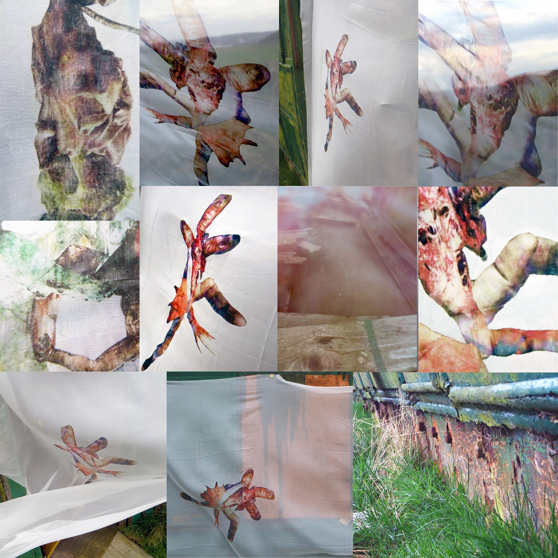 Detail+Compilation.jpg