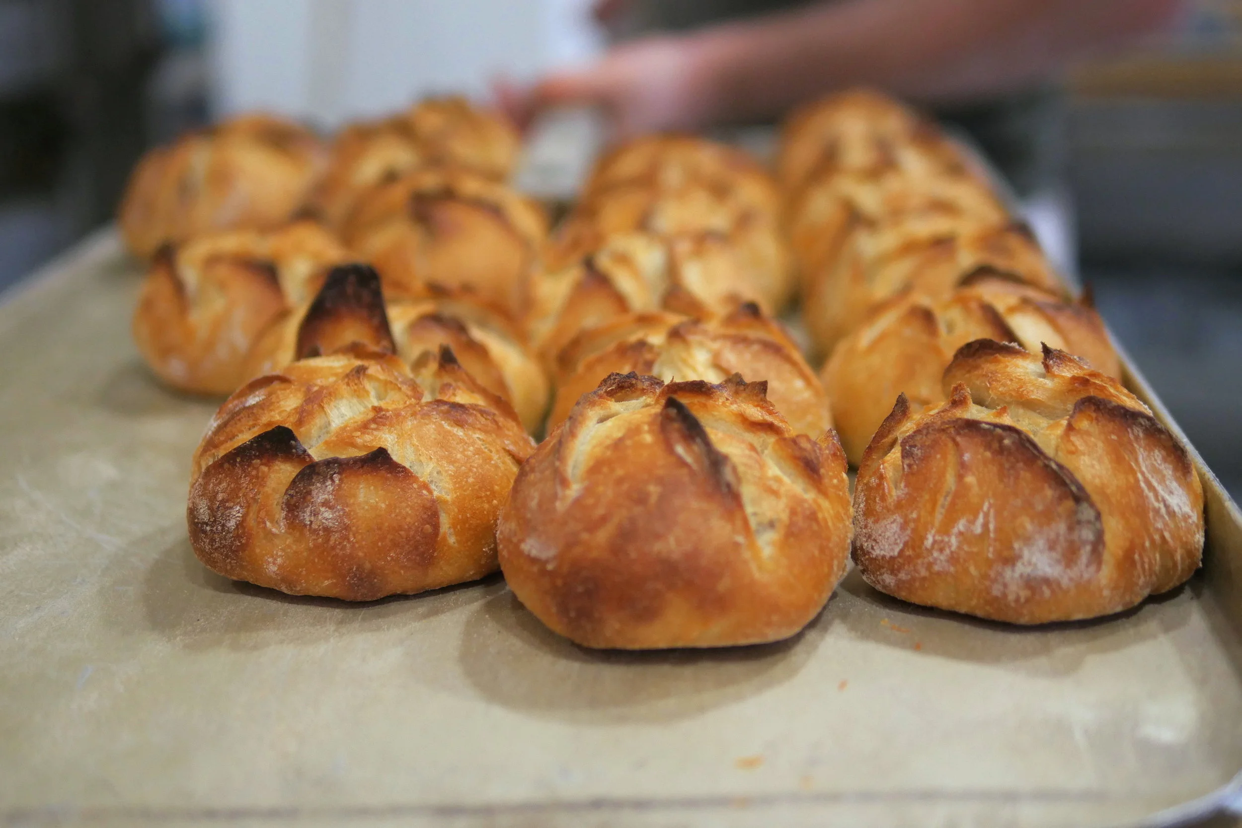 Es gibt Neuigkeiten!