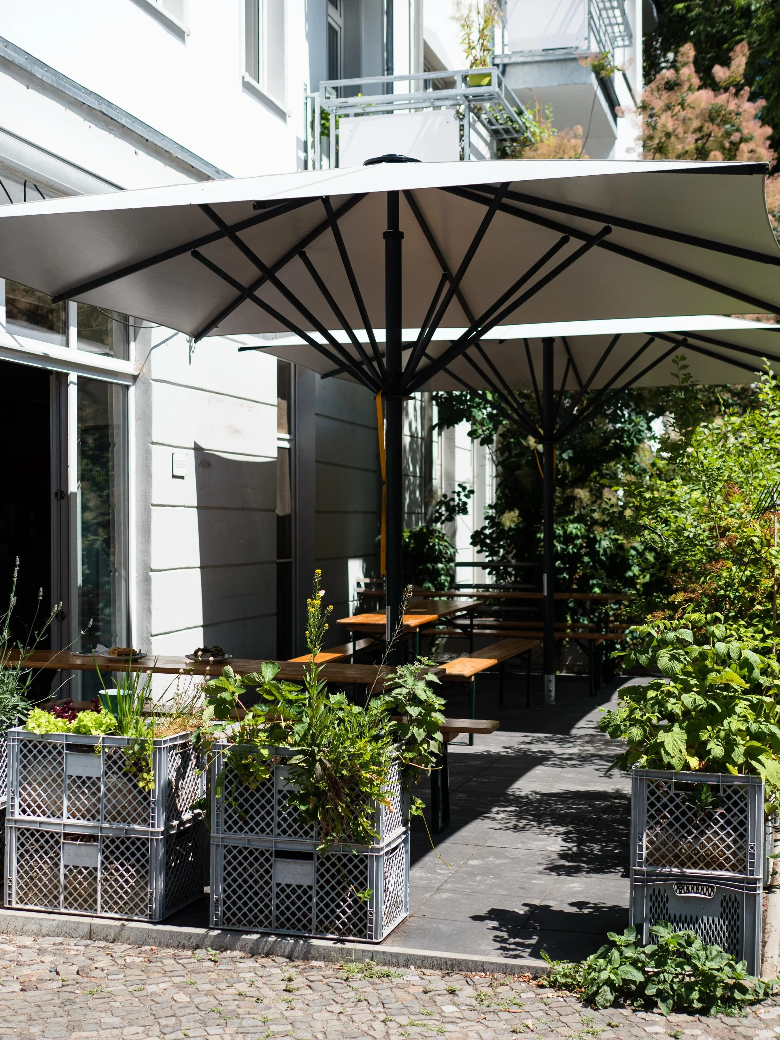 Vorher-Nachher beziehungsweise Nachher-Vorher auf unserer Terrasse!

Unser Tischler Benji und sein Gehilfe haben richtig viel gearbeitet, um unsere Terrasse in Moabit so schnell wie m&ouml;glich fertig zu stellen. Der Boden musste komplett neu verleg