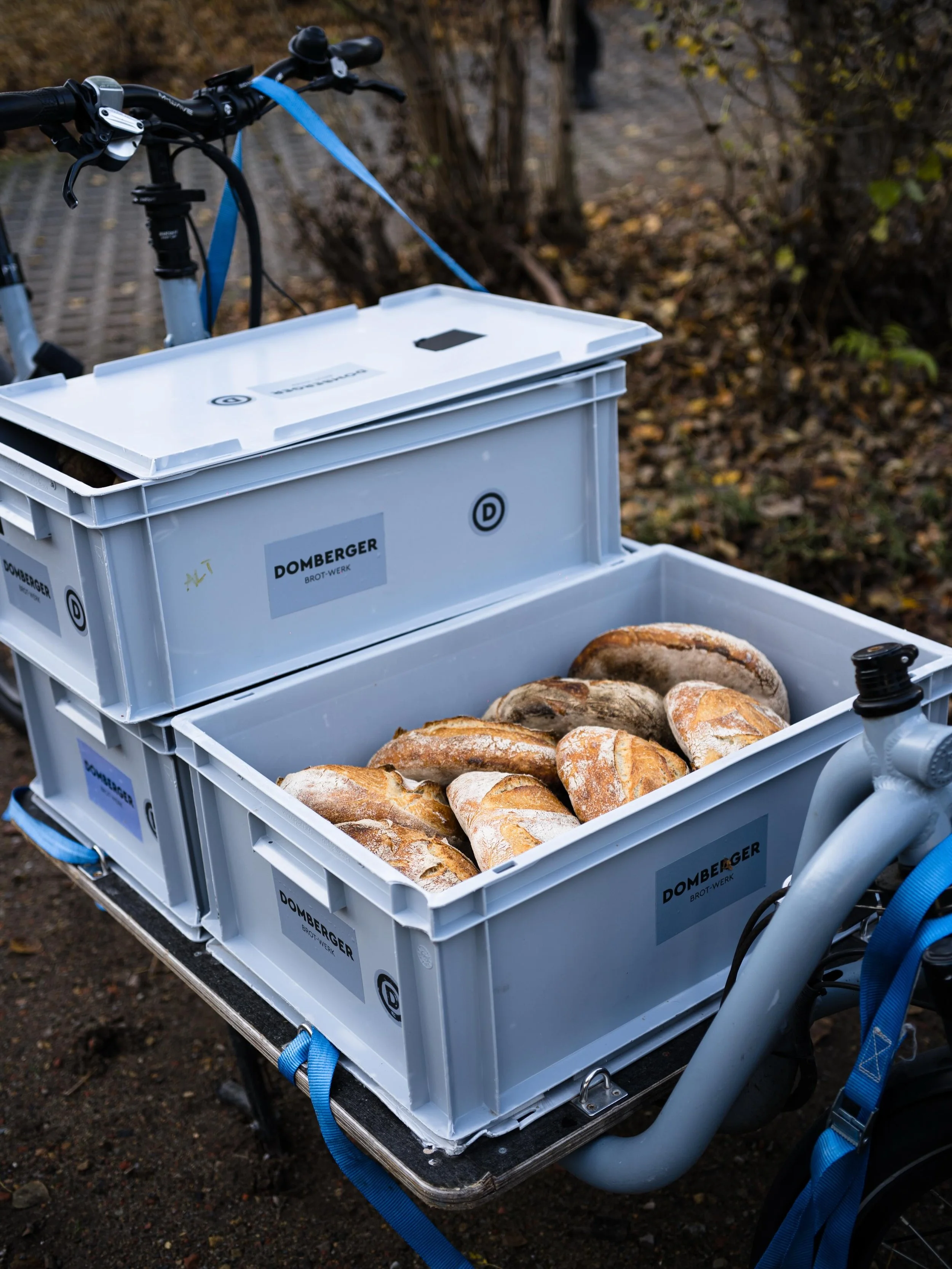 Luxuri&ouml;ses Lastenradwetter: 

Sch&ouml;ner k&ouml;nnte ein Herbst kaum sein, vor allem zum Radfahren! Wir verbinden es meistens mit einer Lieferung an unsere Kundschaft aus der Gastronomie, die sich in ganz Berlin befindet. Mit unseren Lastenr&a
