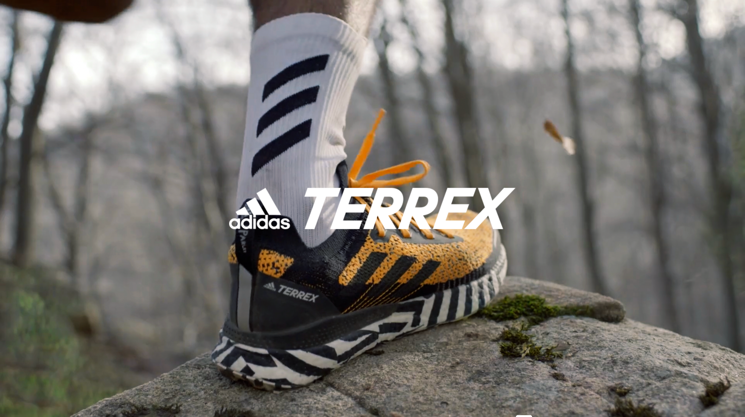 Adidas Terrex