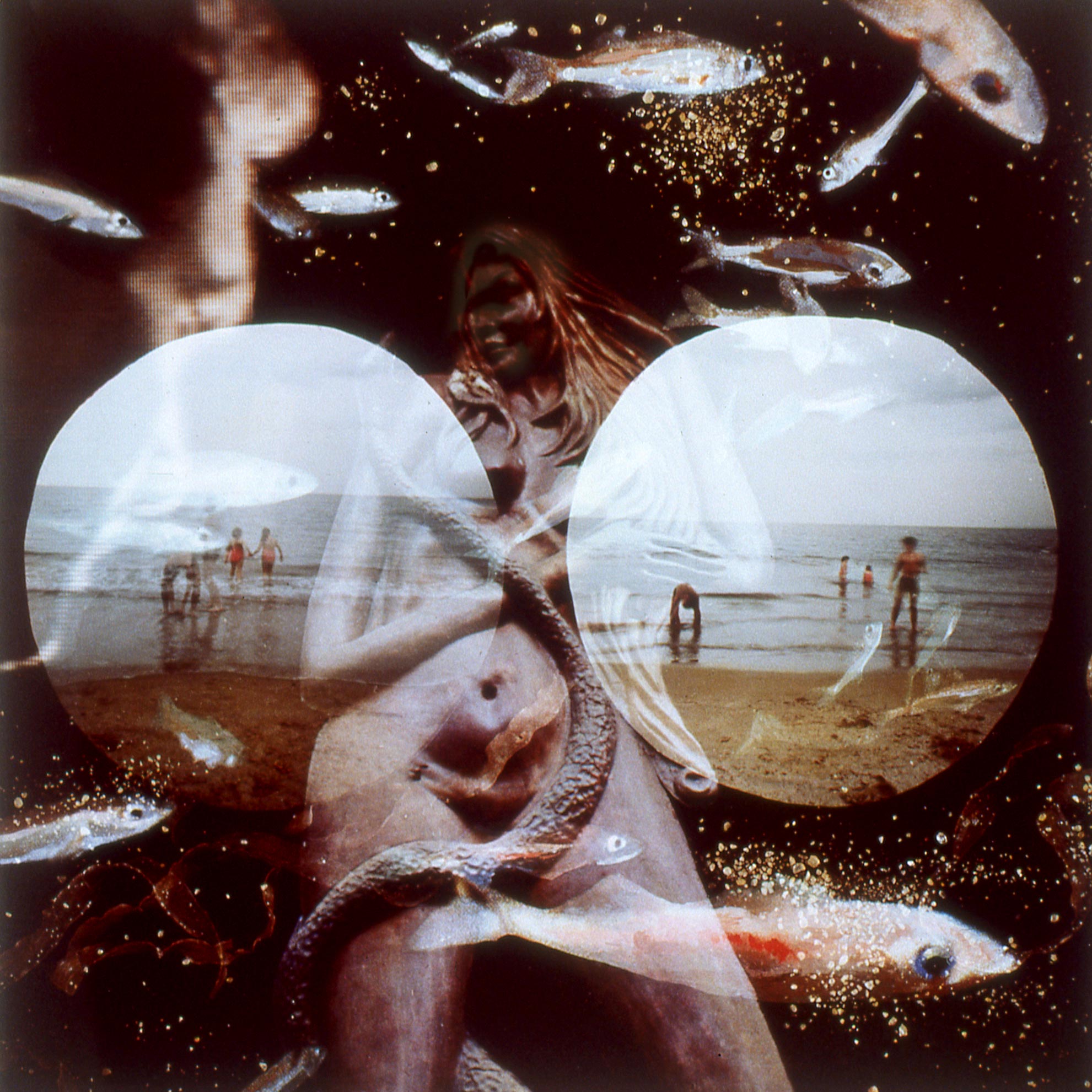 The Serpent and the Sea