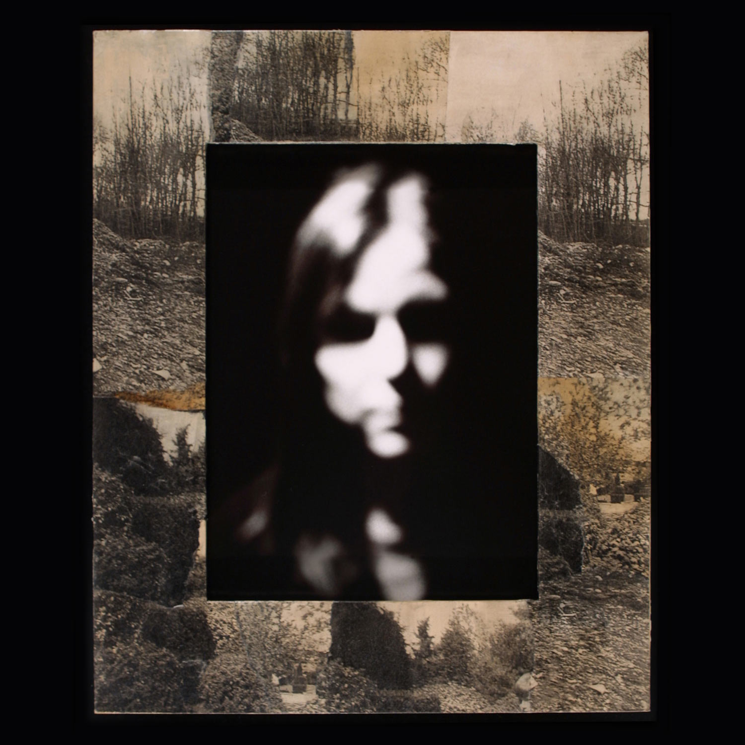 Memory of the Forest