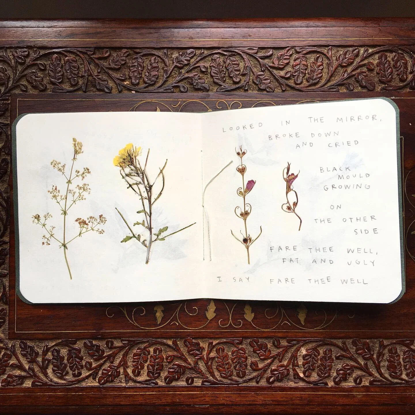 39313DDA-FF48-4064-A440-266177FE99C2